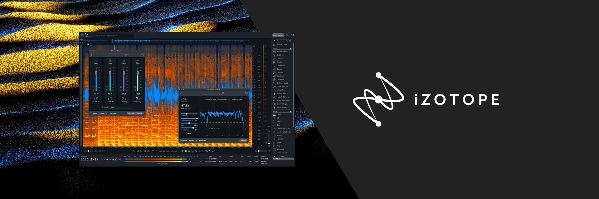 iZotope RX11 Standard - 10-RX11STD_01.jpg