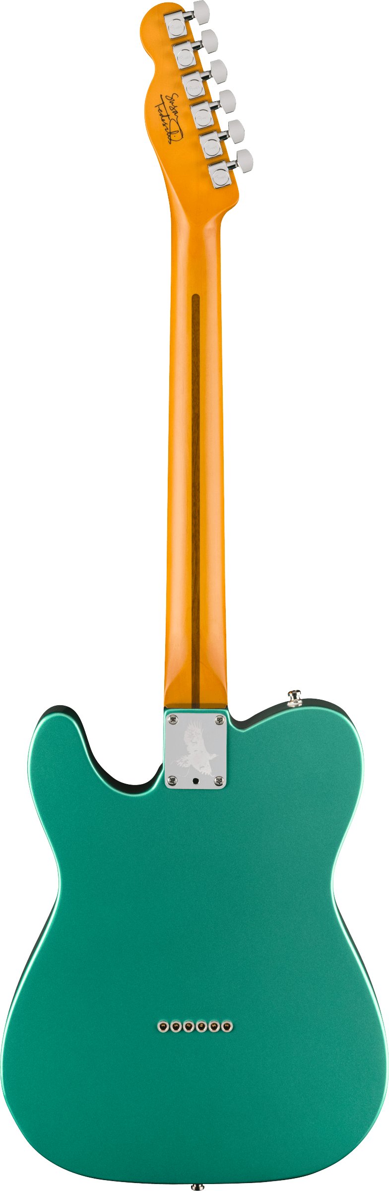 Fender Susan Tedeschi Telecaster in Aged Caribbean Mist - 0116800794_fen_ins_bck_1_rl.jpg
