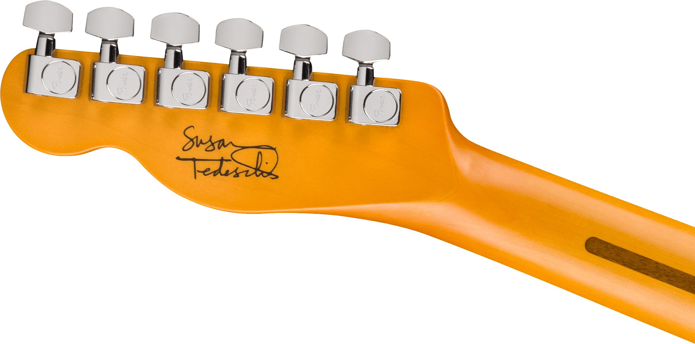 Fender Susan Tedeschi Telecaster in Aged Caribbean Mist - 0116800794_fen_ins_hbk_1_nr.jpg