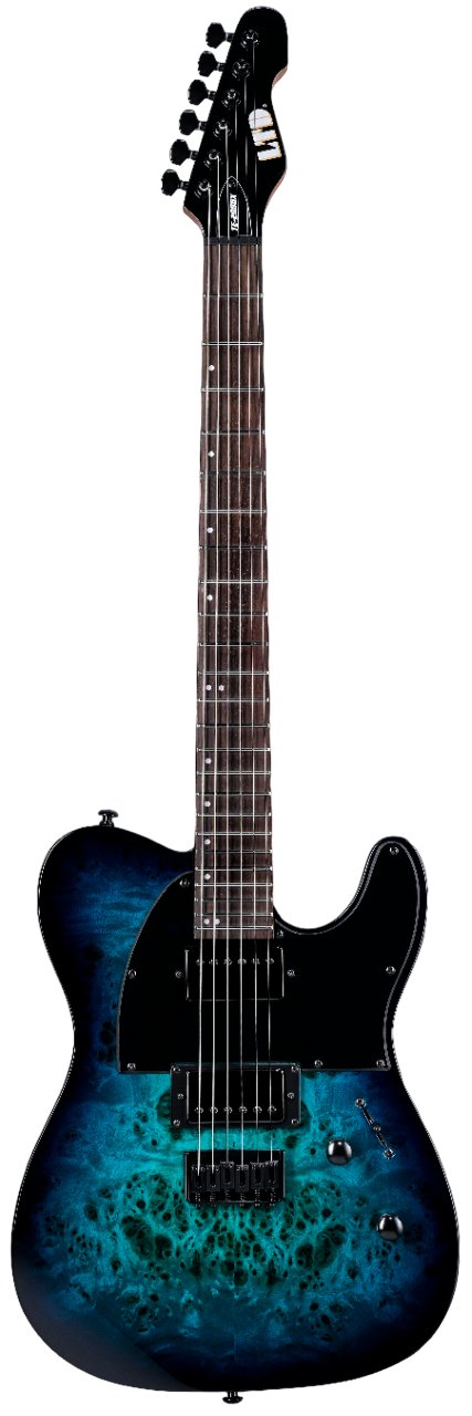 ESP LTD TE-200DX Electric Guitar in Blue Burst - 10012075.jpg