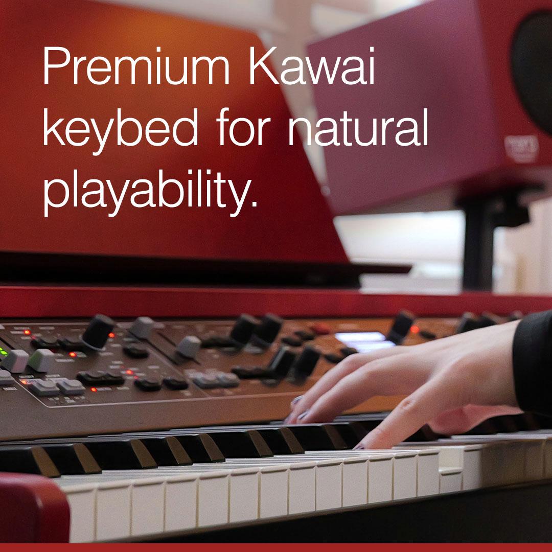 Nord Grand 2 Weighted 88 Key Stage Piano - 010 Nord Grand 2 1080x1080 B.jpg