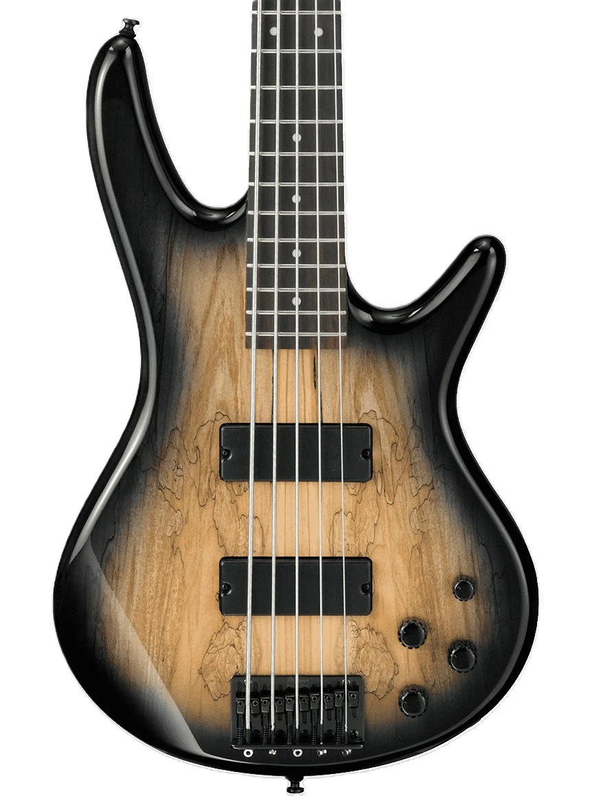 Ibanez GSR205SM-NGT  - p_region_GSR205SM_NGT_1P_02 cropped.jpg