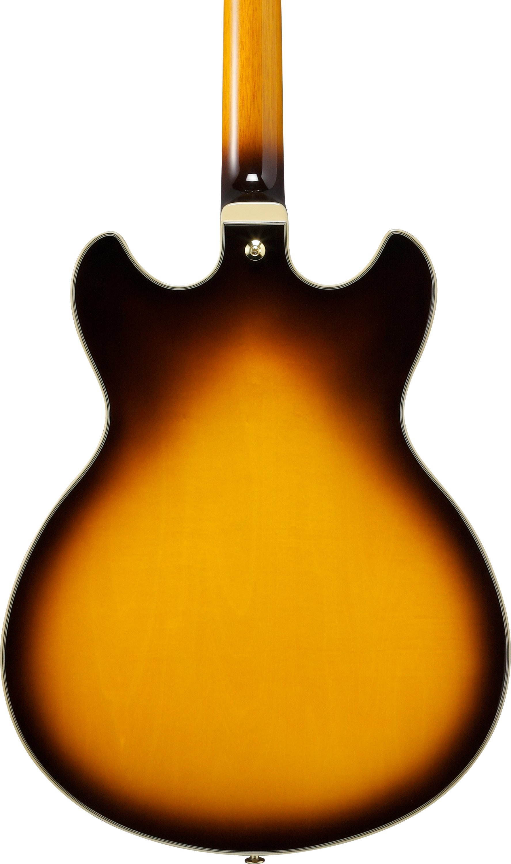 Ibanez JSM10EM John Schofield Signature Guitar in Two Tone Burst - JSM10EM_TTB (4).jpg