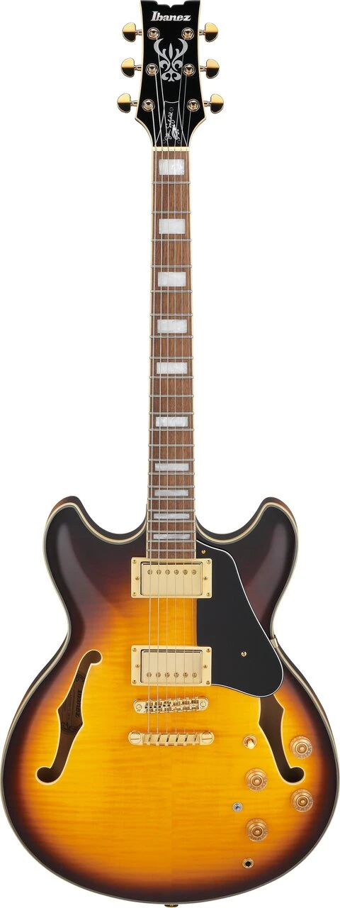 Ibanez JSM10EM John Schofield Signature Guitar in Two Tone Burst - JSM10EM_TTB (8).jpg