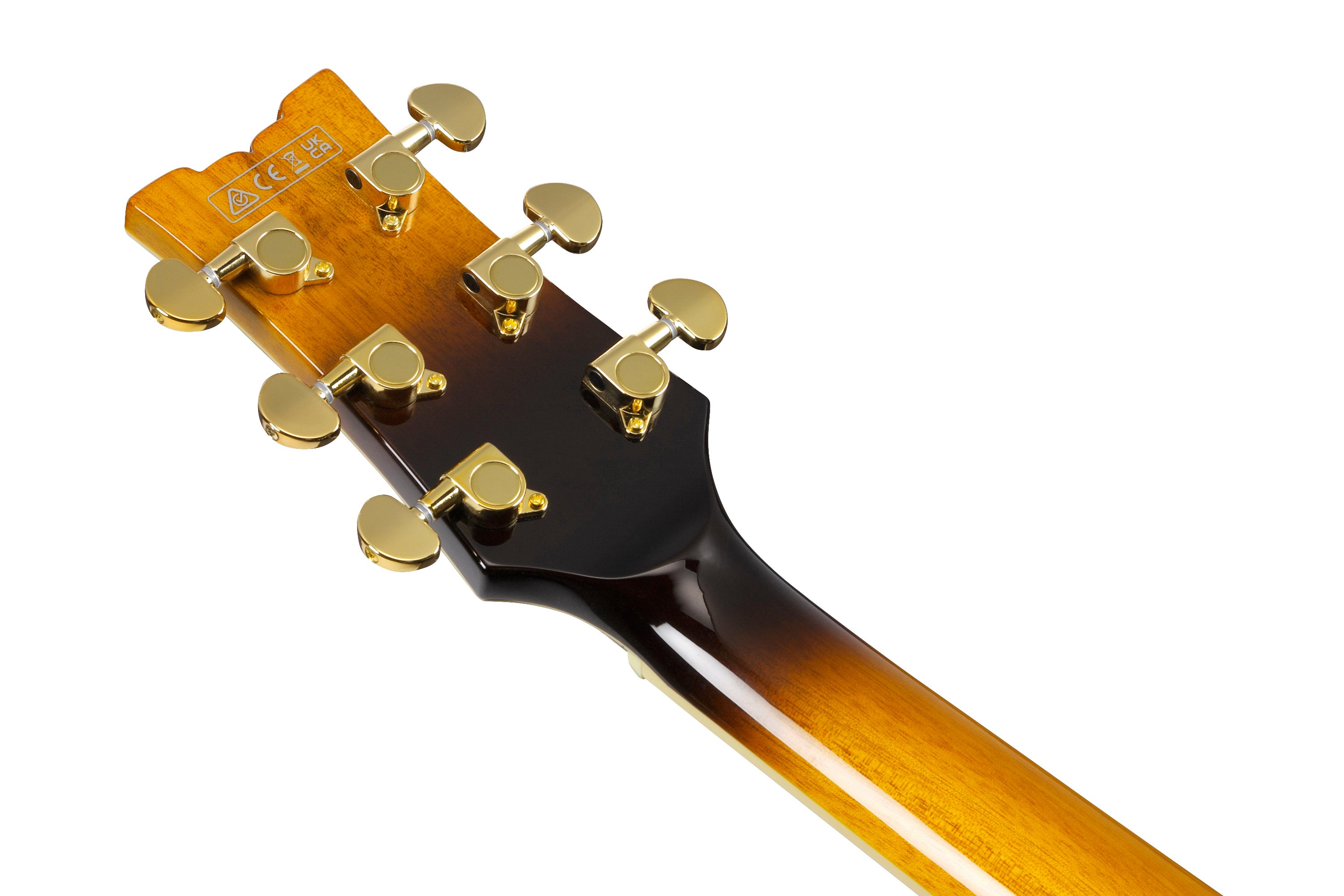 Ibanez JSM10EM John Schofield Signature Guitar in Two Tone Burst - JSM10EM_TTB (9).jpg