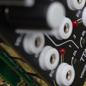 TipTop ART Control Path - Voice Dynamics - TT-CNTPATH - zoom2.jpg