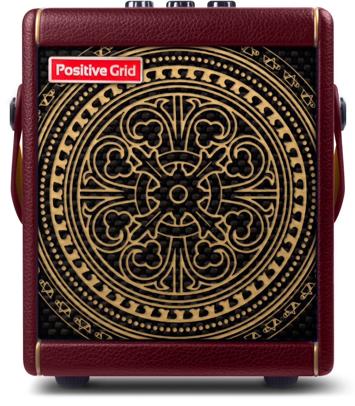 Positive Grid Spark Mini Steve Vai Custom Artist Series Practice Amp - MINI front.jpg
