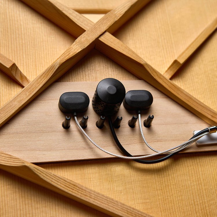 LR BAGGS HiFi Duet High-Fidelity Pickup & Microphone Mixing System