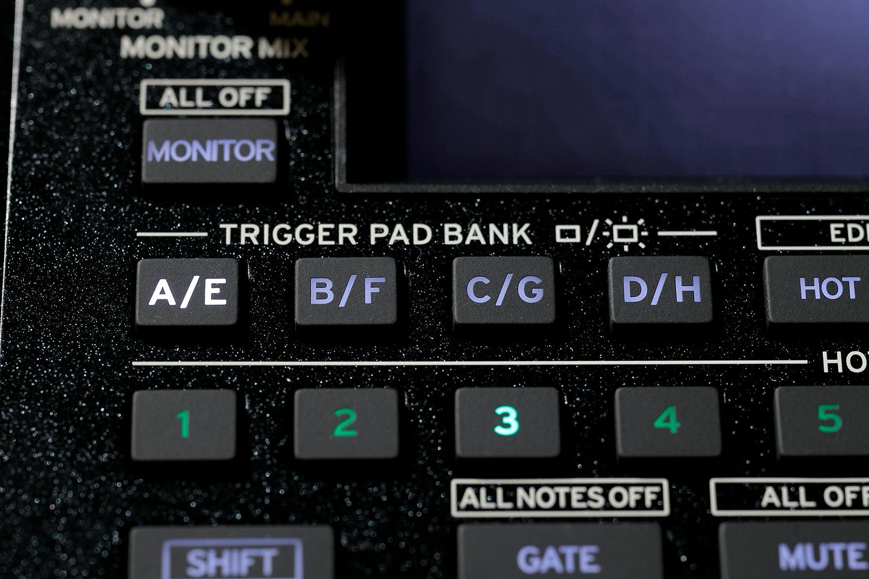 Korg Kaoss Replay Dynamic Effect & Sampler - KAOSS-REPLAY-KAOSS_Replay_TriggerPad.jpg