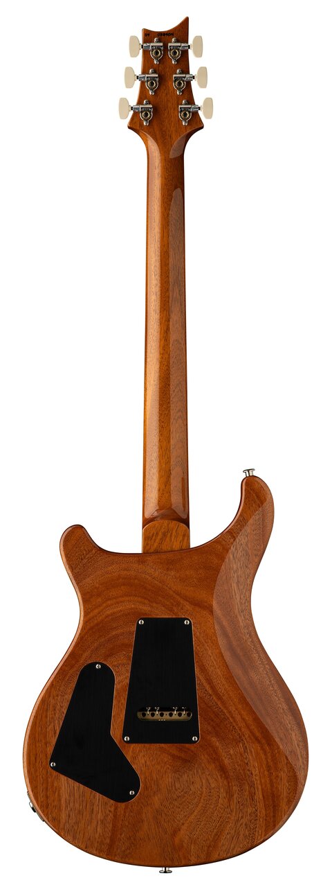 PRS 40th Anniversary Custom 24 Limited Edition in Tiger Eye - 40th Anniversary Custom 24  Tiger Eye_back.jpg