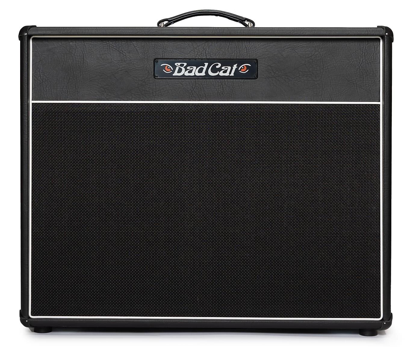 Bad Cat Cub V 2x12 Extension Cabinet - BCP-CUBV-212X (1).jpg