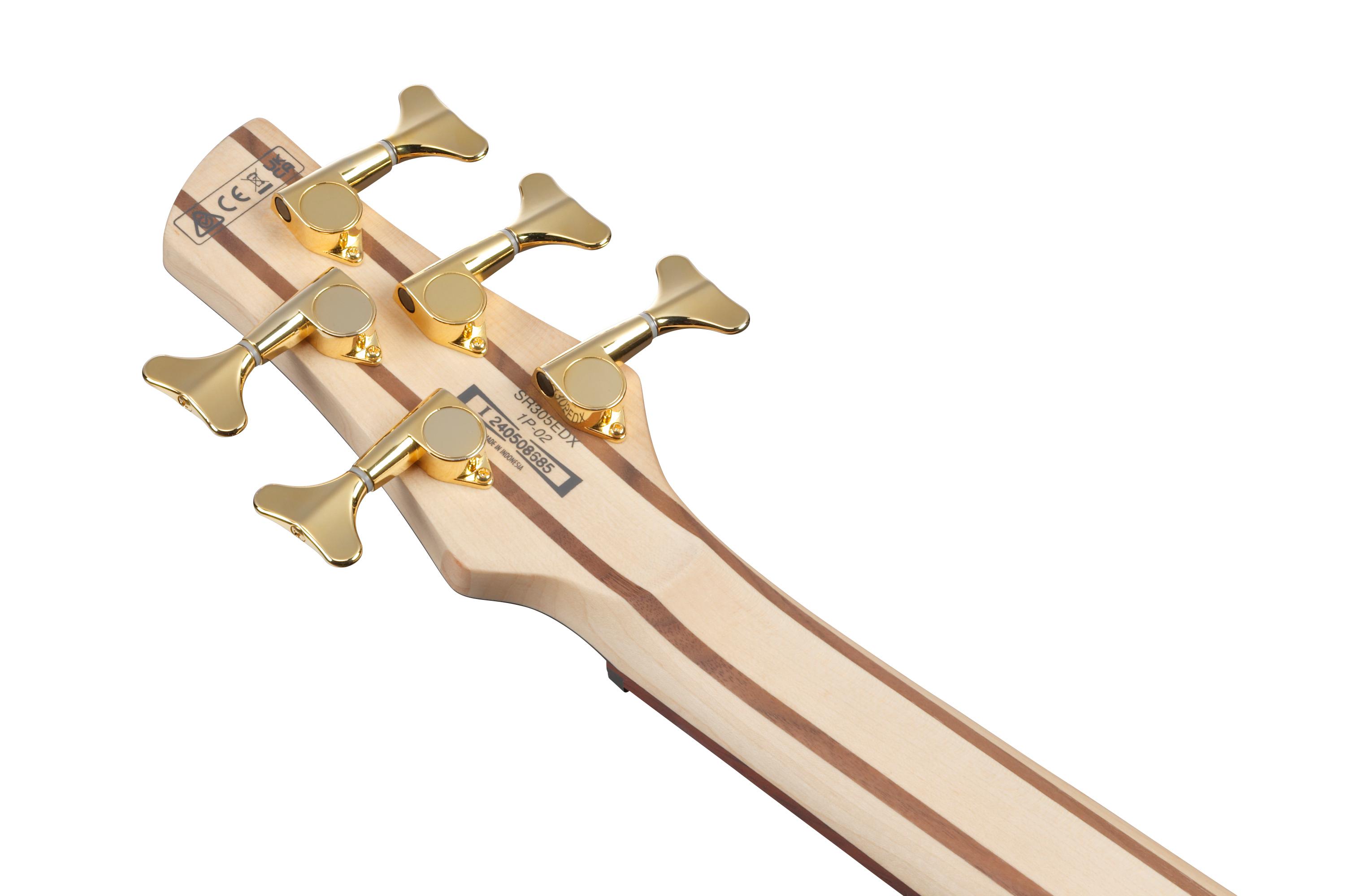 Ibanez SR305EDX-WZM SR Series 5-String Bass Guitar in Wine Red Frozen Matte - SR305EDX_WZM_1P_02_K.jpg