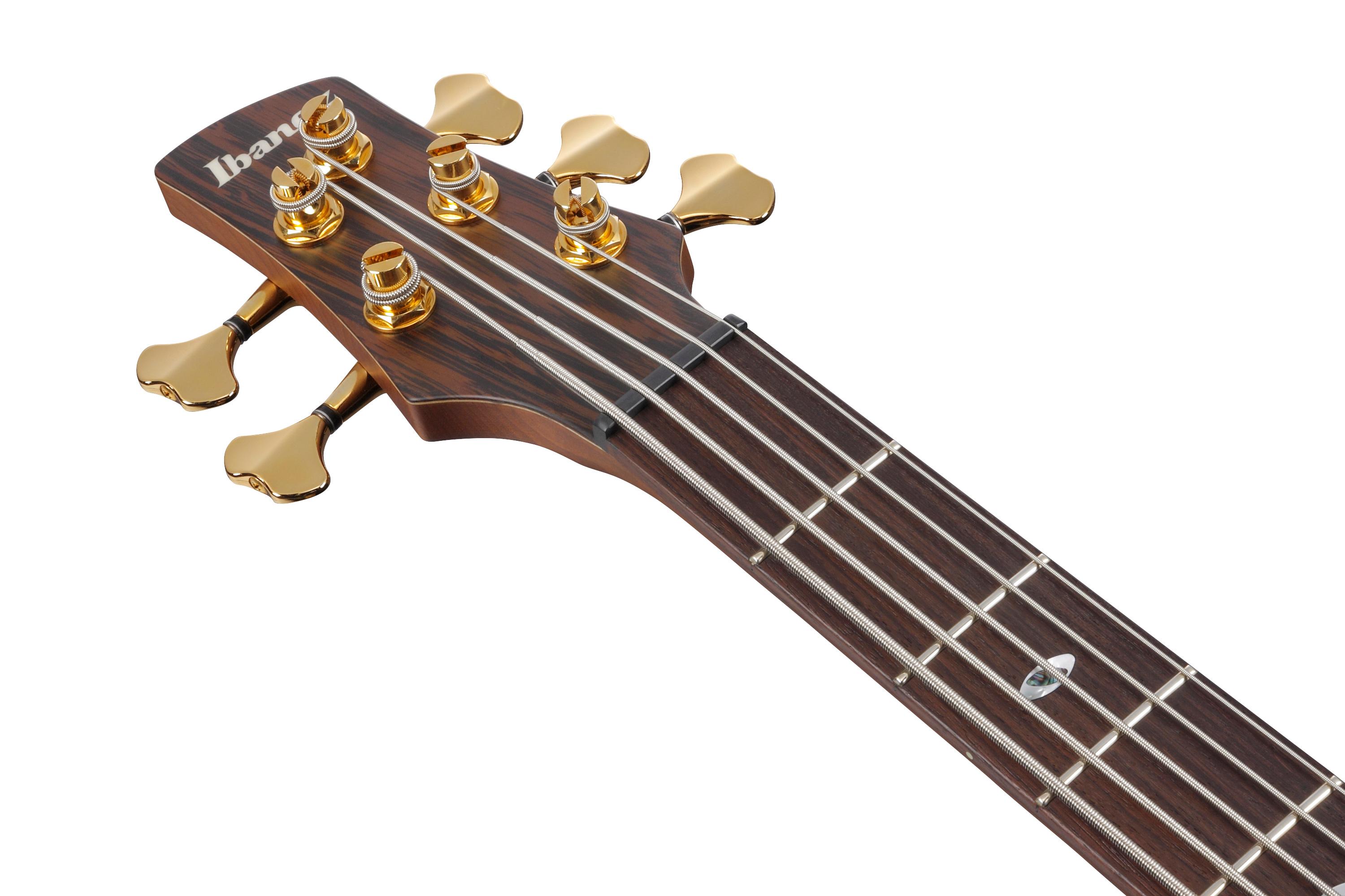 Ibanez SR5505-MHF SR Prestige 5-String Bass Guitar in Mocha Flat - SR5505_MHF_00_01_J.jpg
