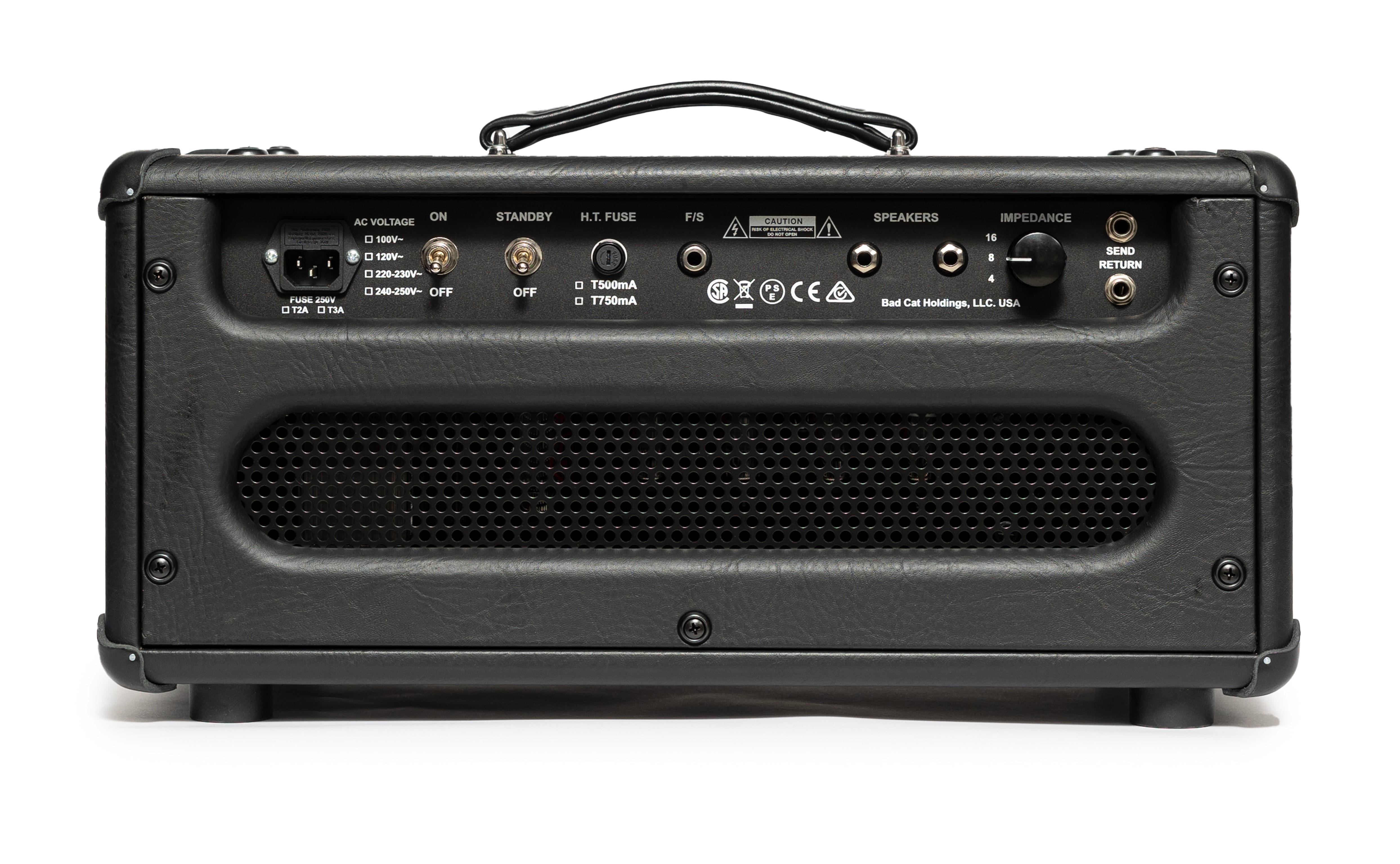 Bad Cat Era 30 Valve Amp Head in Black - Era30_head_black_back.jpg