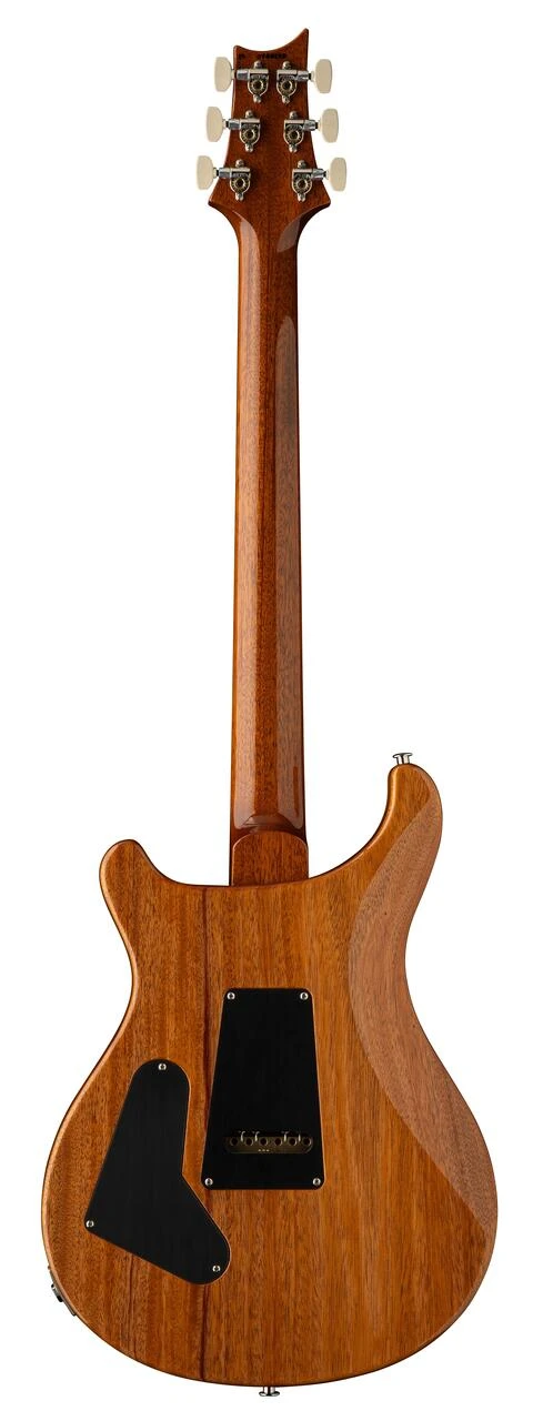 PRS Custom 24 10-Top Electric Guitar in Aurora Borealis - Custom 24 Aurora Borealis_back.jpg