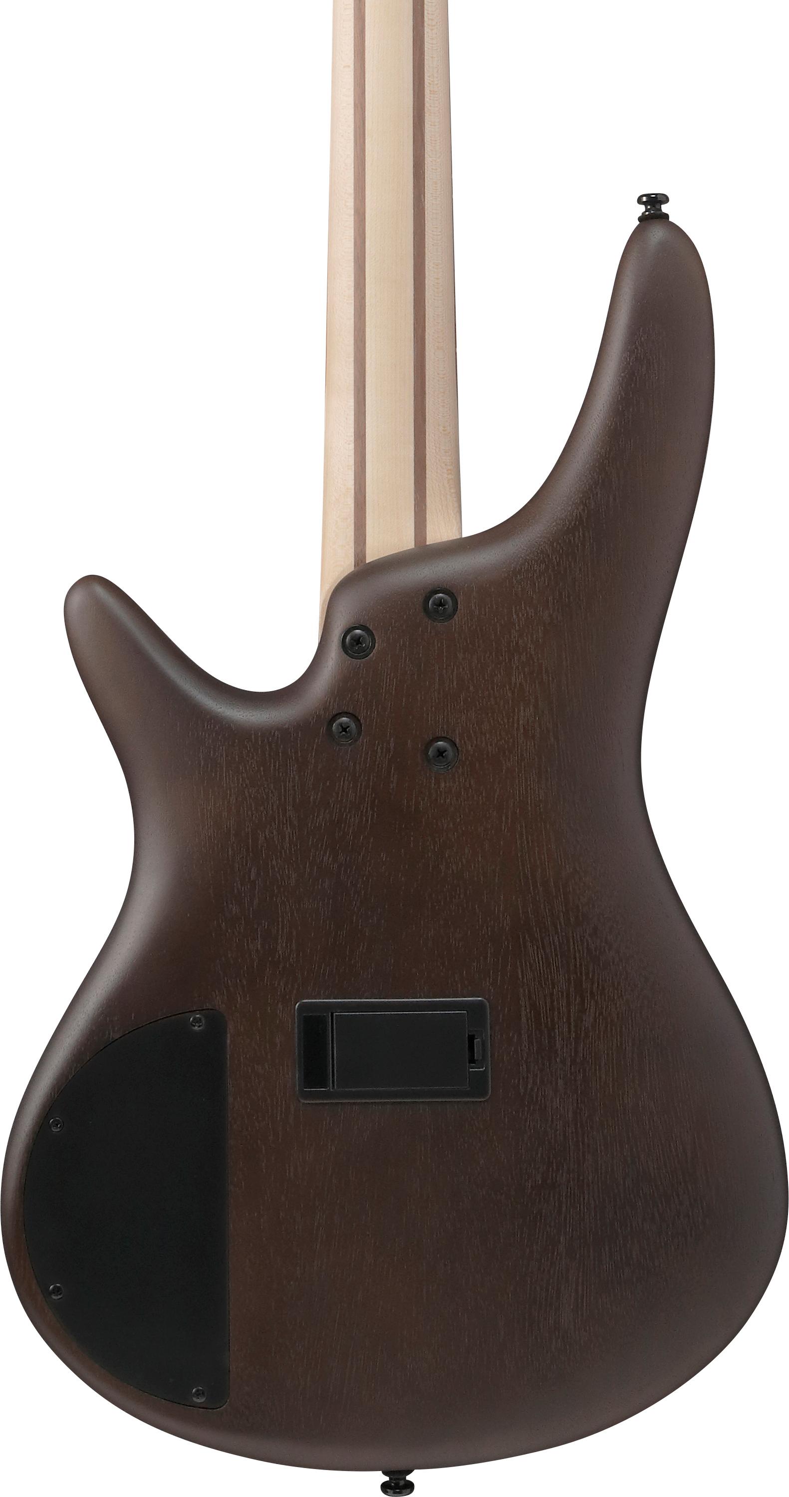 Ibanez SR300EB-WNF SR Series 4-String Bass Guitar in Walnut Flat - SR300EB_WNF_1P_04_G.jpg
