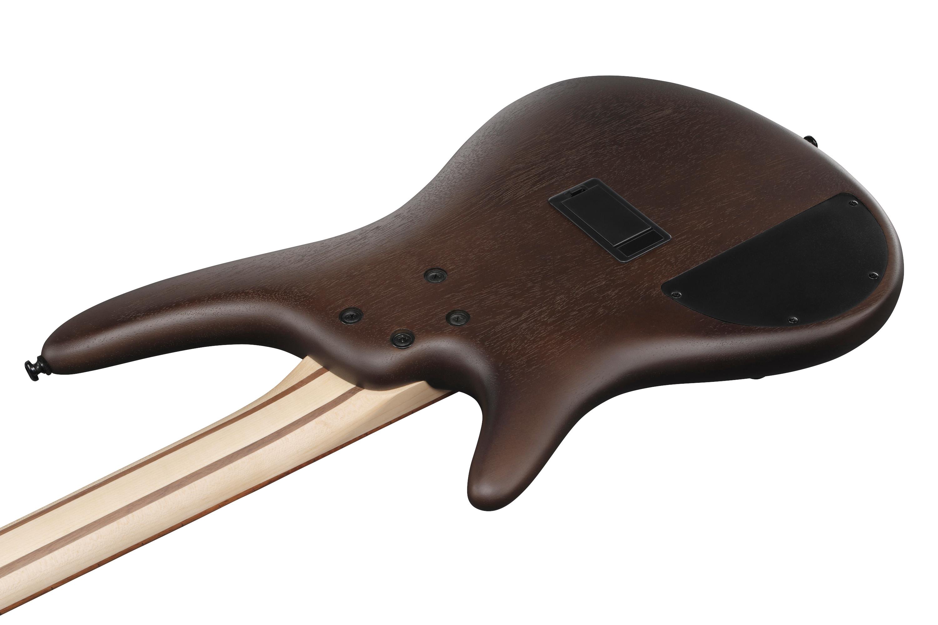 Ibanez SR300EB-WNF SR Series 4-String Bass Guitar in Walnut Flat - SR300EB_WNF_1P_04_I.jpg