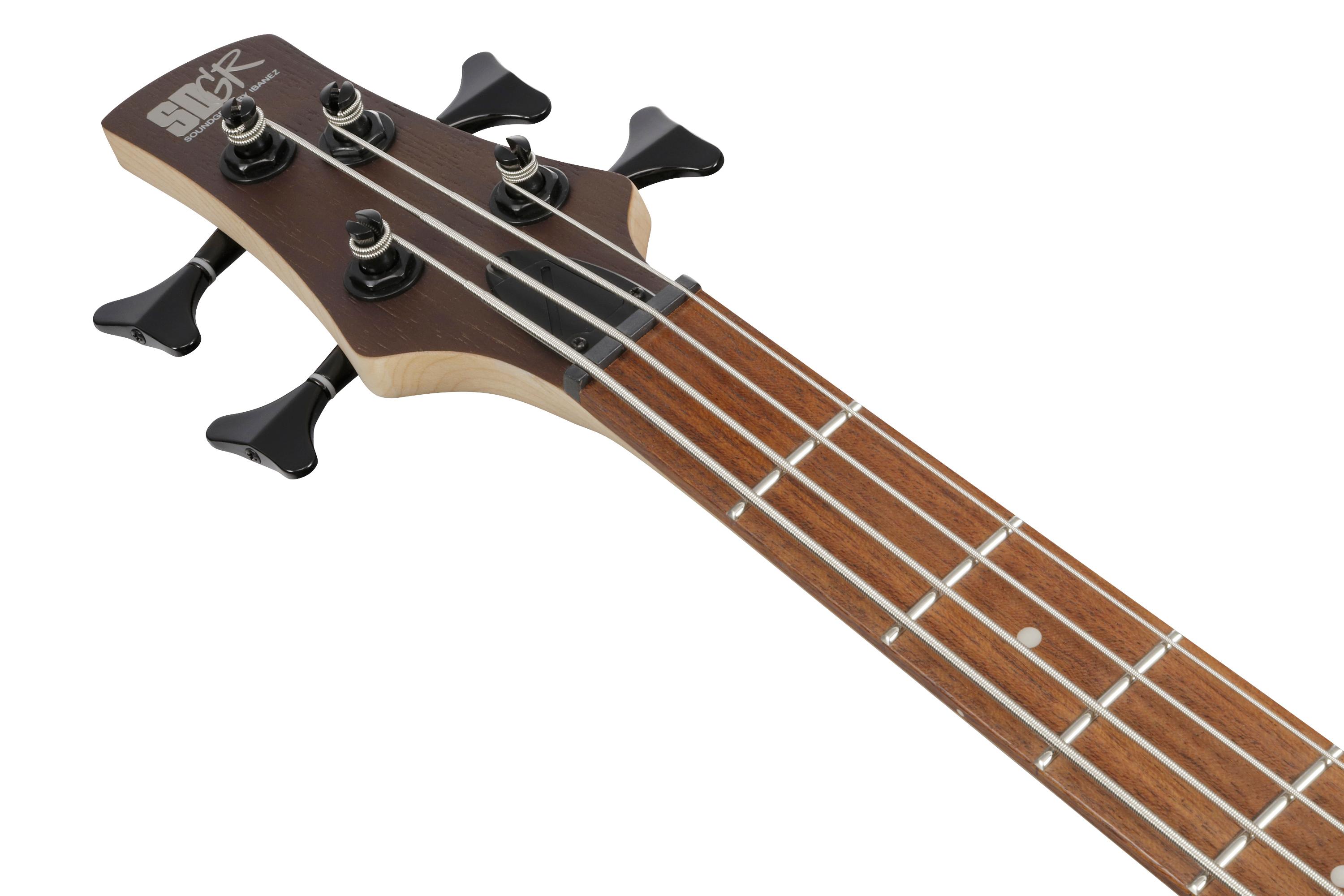 Ibanez SR300EB-WNF SR Series 4-String Bass Guitar in Walnut Flat - SR300EB_WNF_1P_04_J.jpg