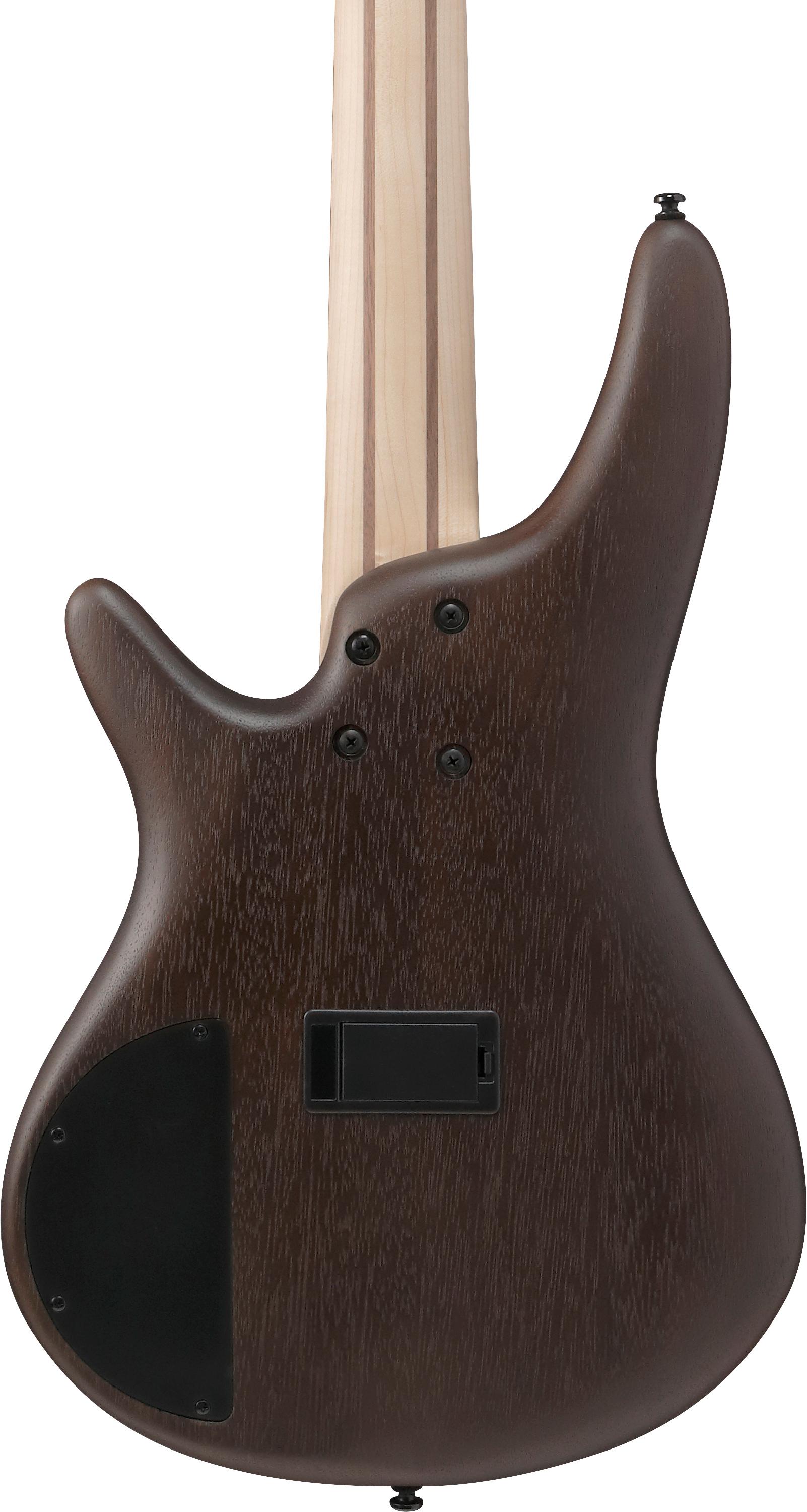 Ibanez SR305EB-WNF SR Series 5-String Bass Guitar in Walnut Flat - SR305EB_WNF_1P_04_G.jpg