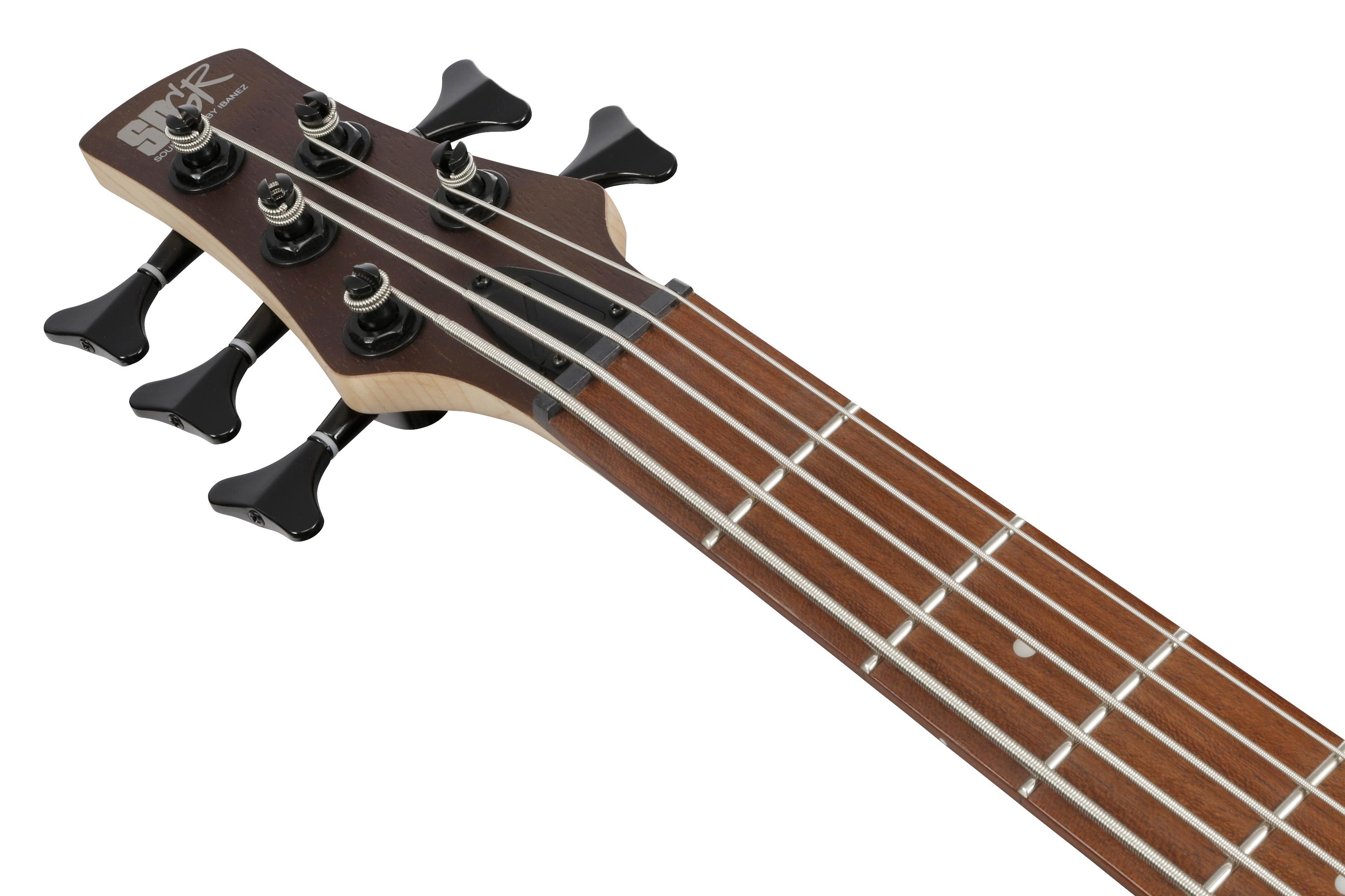 Ibanez SR305EB-WNF SR Series 5-String Bass Guitar in Walnut Flat - SR305EB_WNF_1P_04_J.jpg