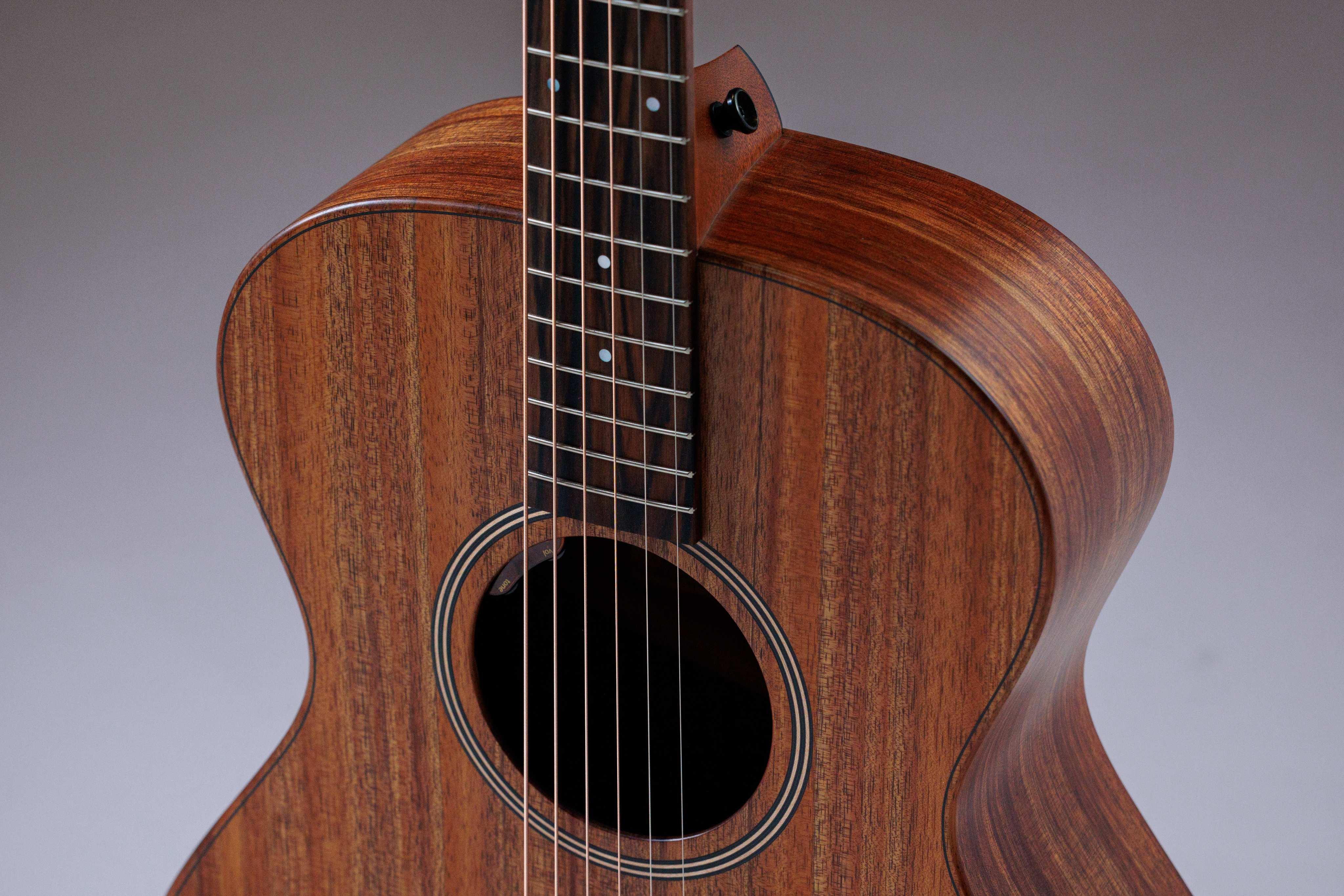 Taylor Jacob Collier Signature 6-String Electro Acoustic - JCSM-6 (2).jpg