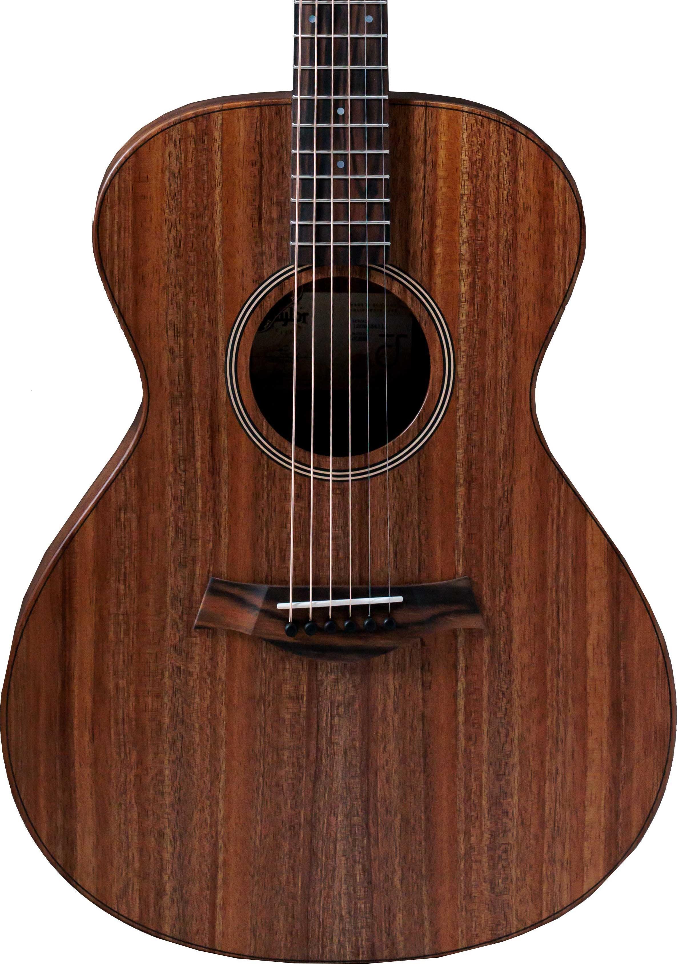 Taylor Jacob Collier Signature 6-String Electro Acoustic - JCSM-6 - Copy.jpg