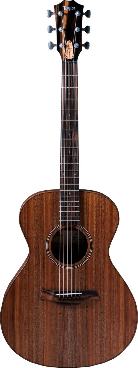 Taylor Jacob Collier Signature 6-String Electro Acoustic - JCSM-6.jpg