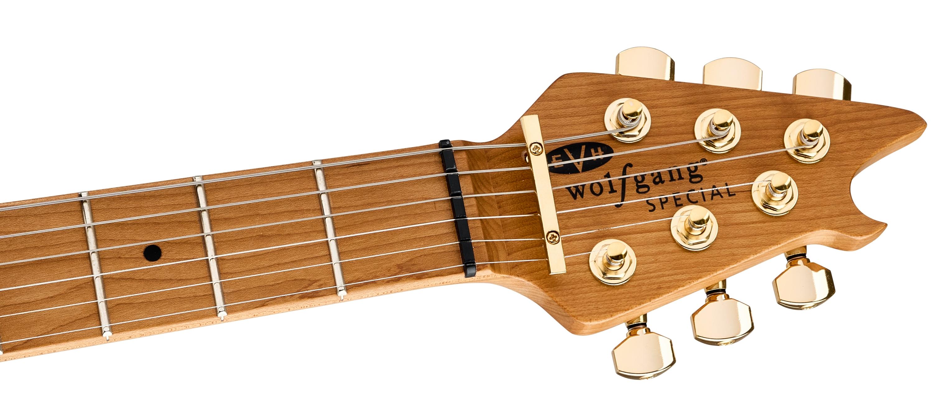 EVH Wolfgang Special TOM Hardtail Guitar In Oxblood, Baked Maple Board - 5107707539_evh_ins_hft_1_nr.jpg