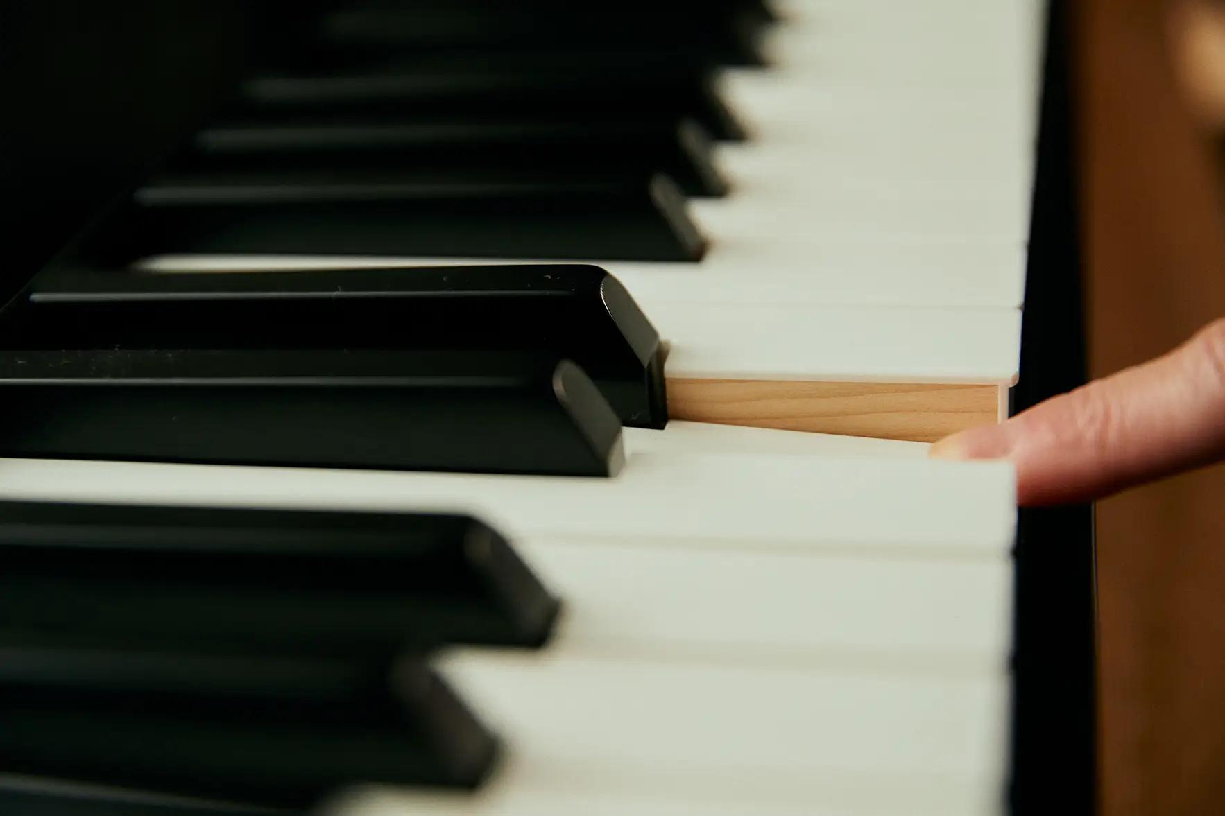 Casio PX-S5000 88 Key Digital Piano in Black - PX-S5000BKC5 (10).jpg