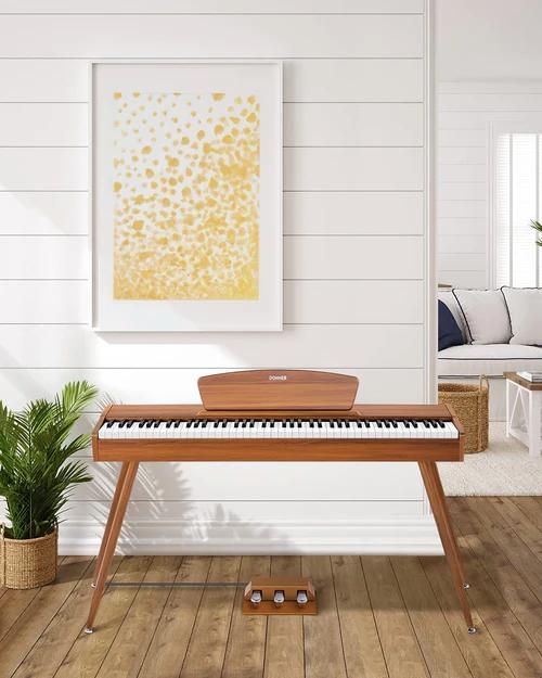Donner DDP-80 Digital Home Piano in Natural - DDP80 (9).jpg