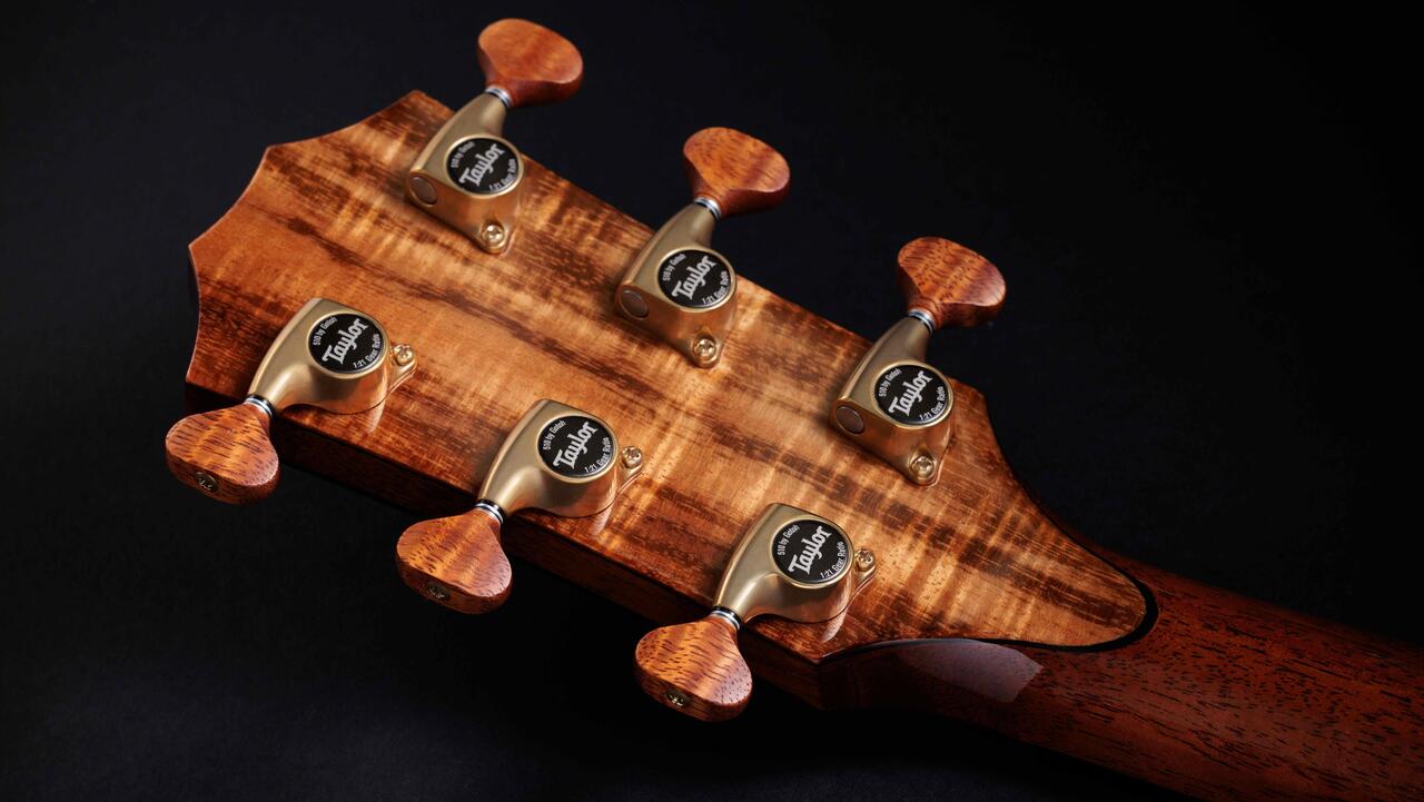 Taylor 2025 Catch Custom Collection No.19 - C14ce B5019 - Taylor-C14ce B5019-1211154102-gallery-09-2025.jpg