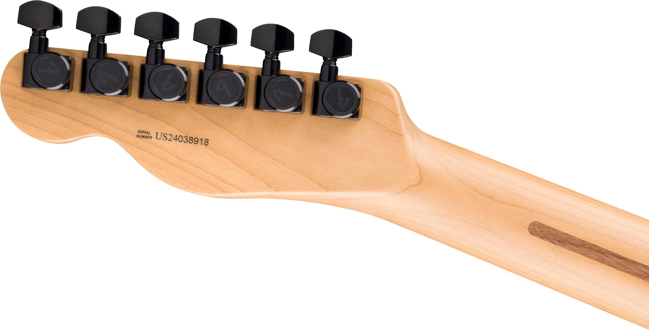 Fender American Professional II Sandblasted HH Telecaster in Aged Natural - 0173941734_fen_ins_hbk_1_nr.jpg