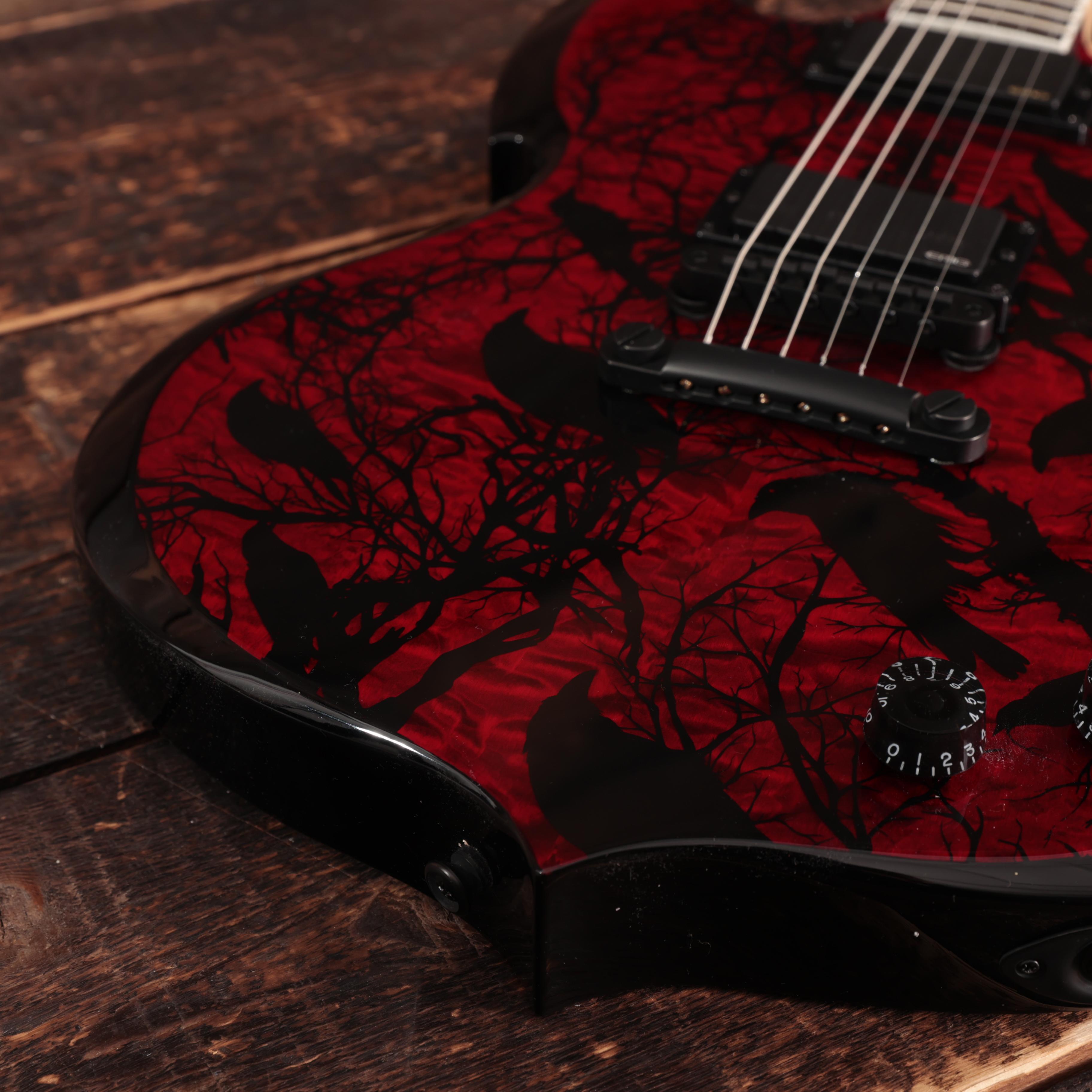 Wylde Audio Barbarian in Blood Raven - SCH-GTR-4584SNT -  WA24110193  (10).jpg