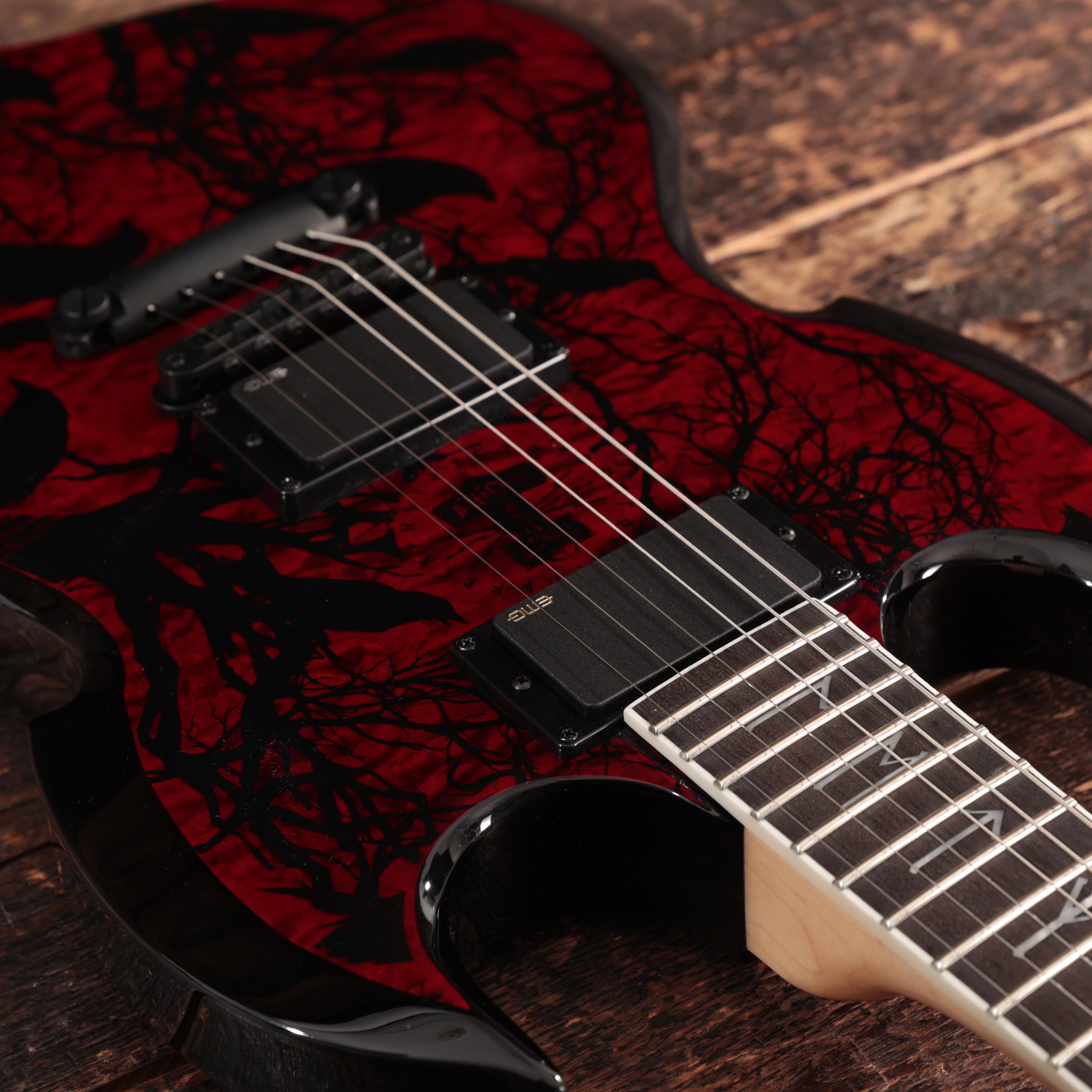 Wylde Audio Barbarian in Blood Raven - SCH-GTR-4584SNT -  WA24110193  (14).jpg