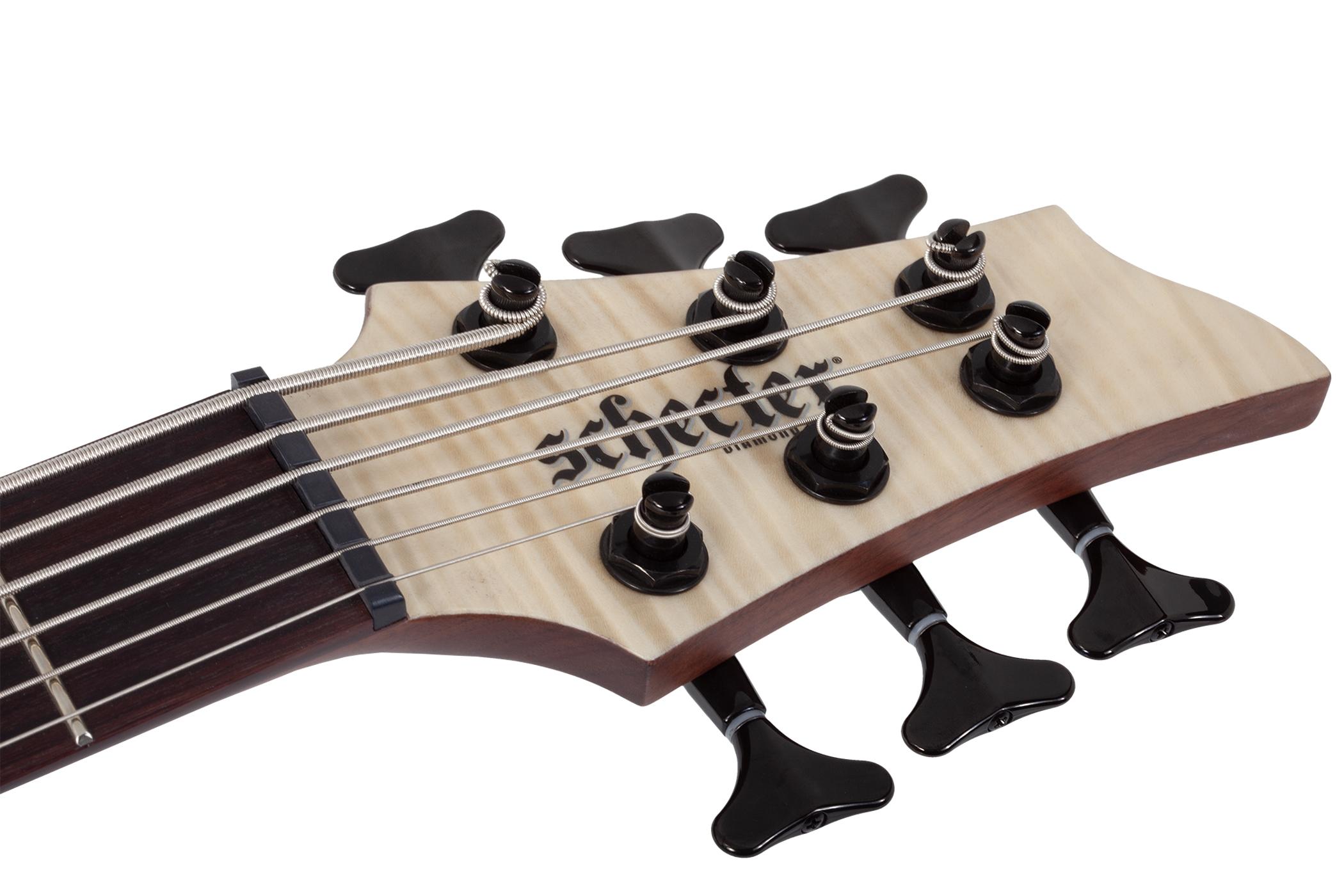 Schecter Charles Berthoud CB-6 6-String Bass Guitar in Natural Satin - Charles Berthoud CB-6 Natural Satin HEADSTOCK copy.jpg