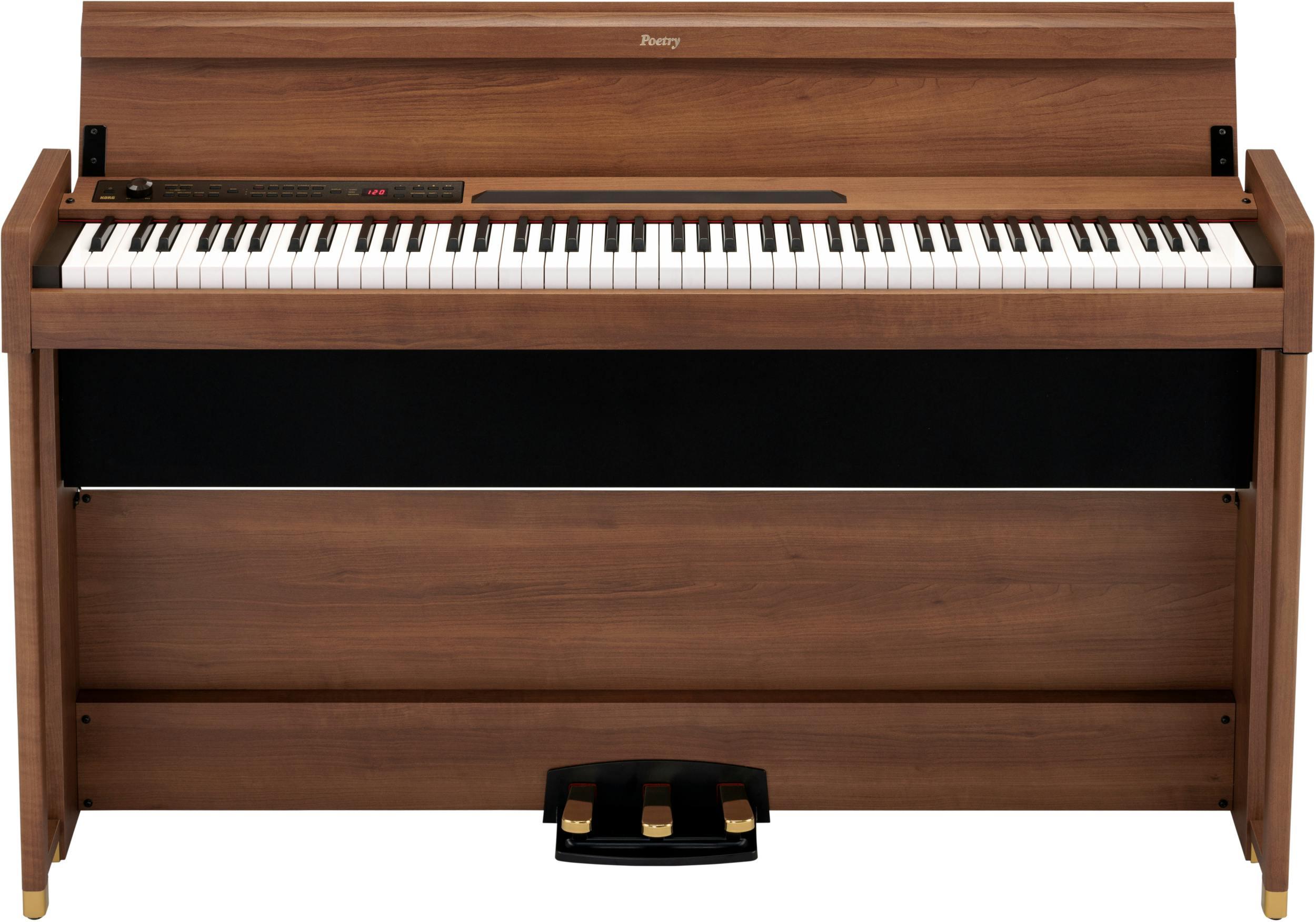 B Stock : Korg Poetry Digital Home Piano in Poetic Brown 001 - POETRY-Poetry_front.jpg