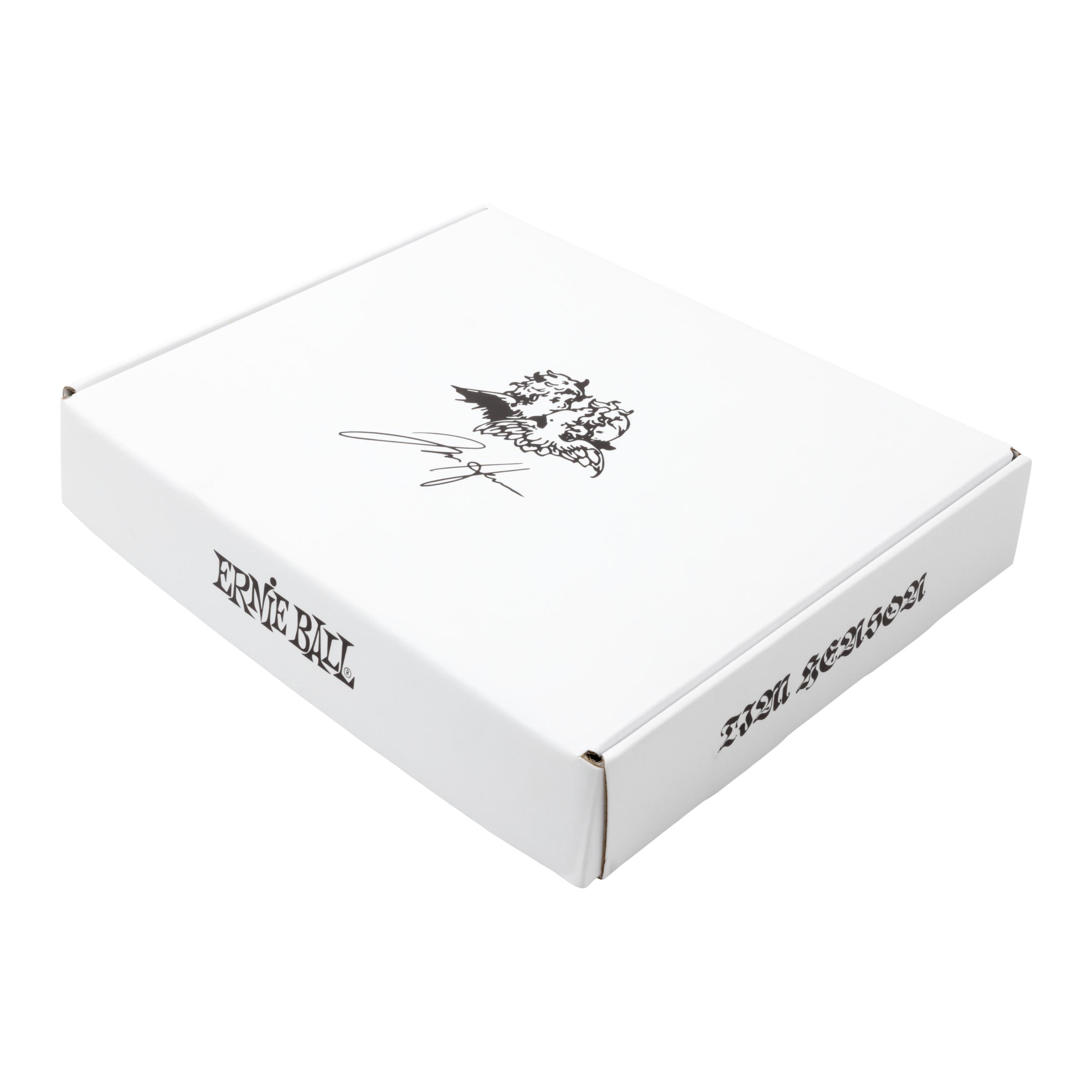 Ernie Ball Tim Henson Signature Bundle - TIM-HENSON-BOX-1.jpg
