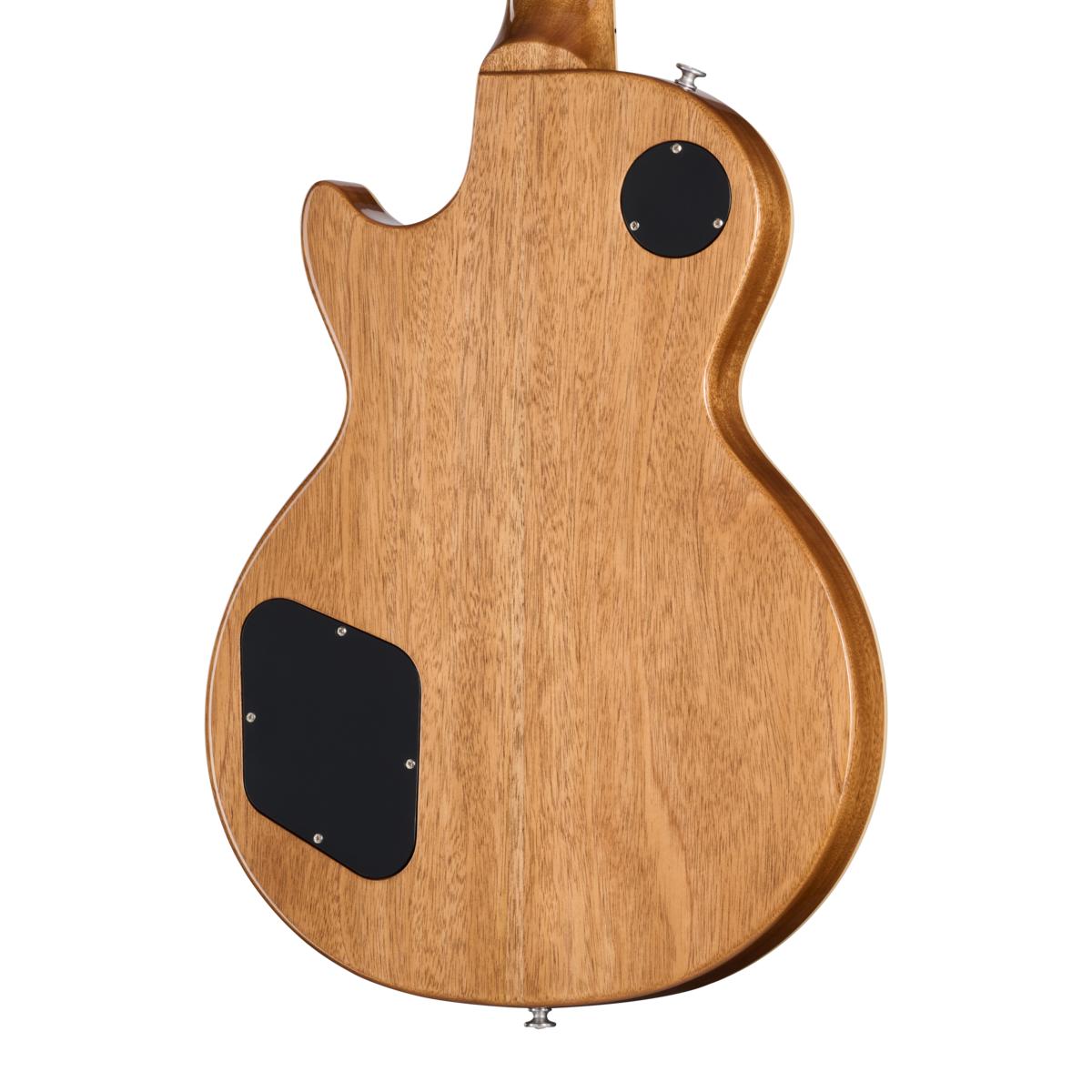 Gibson Les Paul Standard '50s Double Trouble in Vintage Tobacco Burst  - LPS5DCW25VONH1_4_BackBody-1200x1200-28e5ebb.jpg