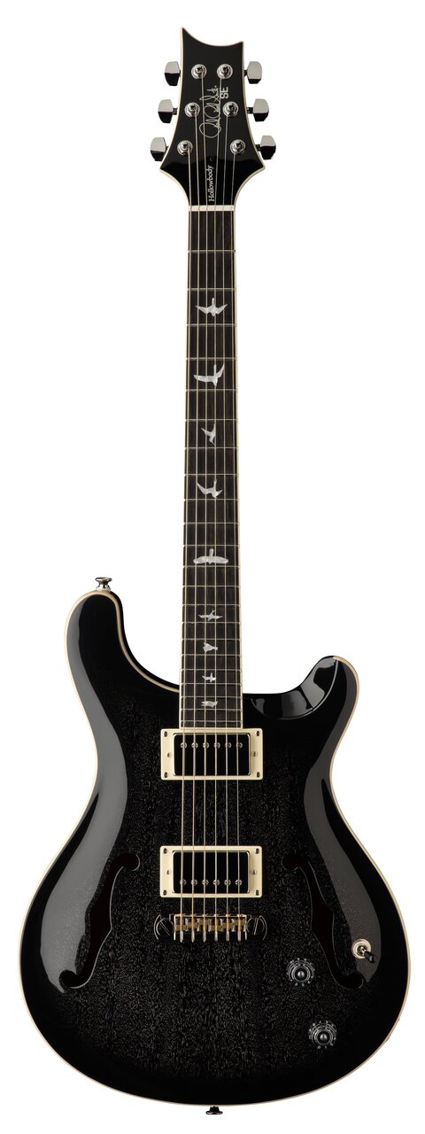 PRS SE Hollowbody Piezo in Dog Hair Smokeburst - SE Hollowbody Standard Dog Hair Smokeburst.jpg