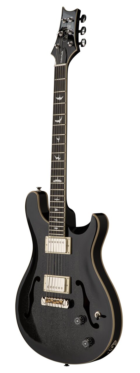 PRS SE Hollowbody Piezo in Dog Hair Smokeburst - SE Hollowbody Standard Dog Hair Smokeburst_back_3quarter.jpg
