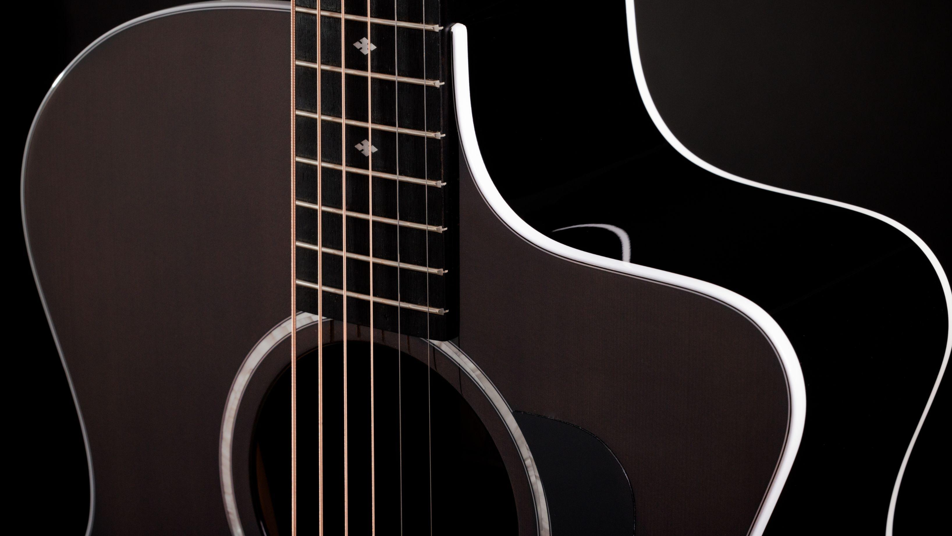 Taylor 214ce Plus Special Edition Electro Acoustic Guitar in Trans Grey - 214CE-GREY (5).jpg