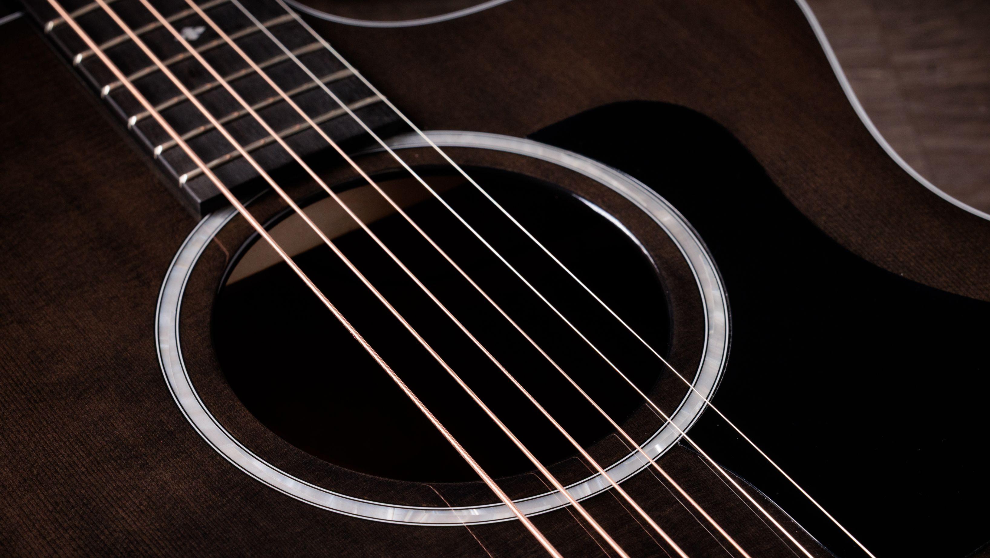 Taylor 214ce Plus Special Edition Electro Acoustic Guitar in Trans Grey - 214CE-GREY (6).jpg