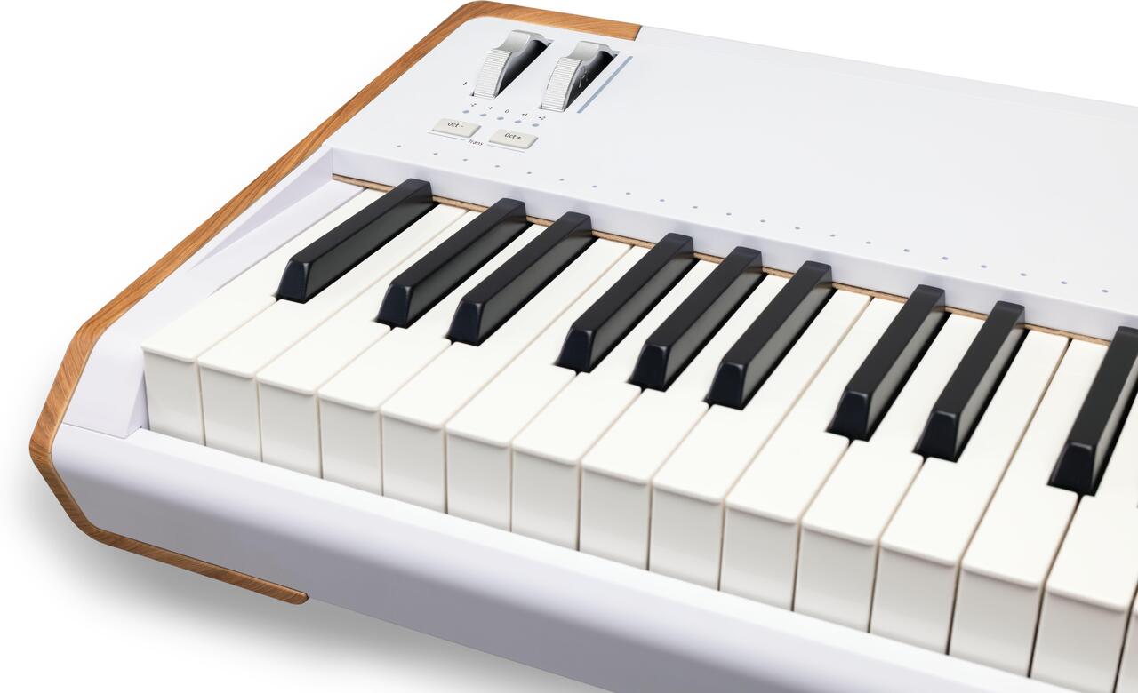 Arturia Astrolab 88 Stage Keyboard - 230711 (3).jpg