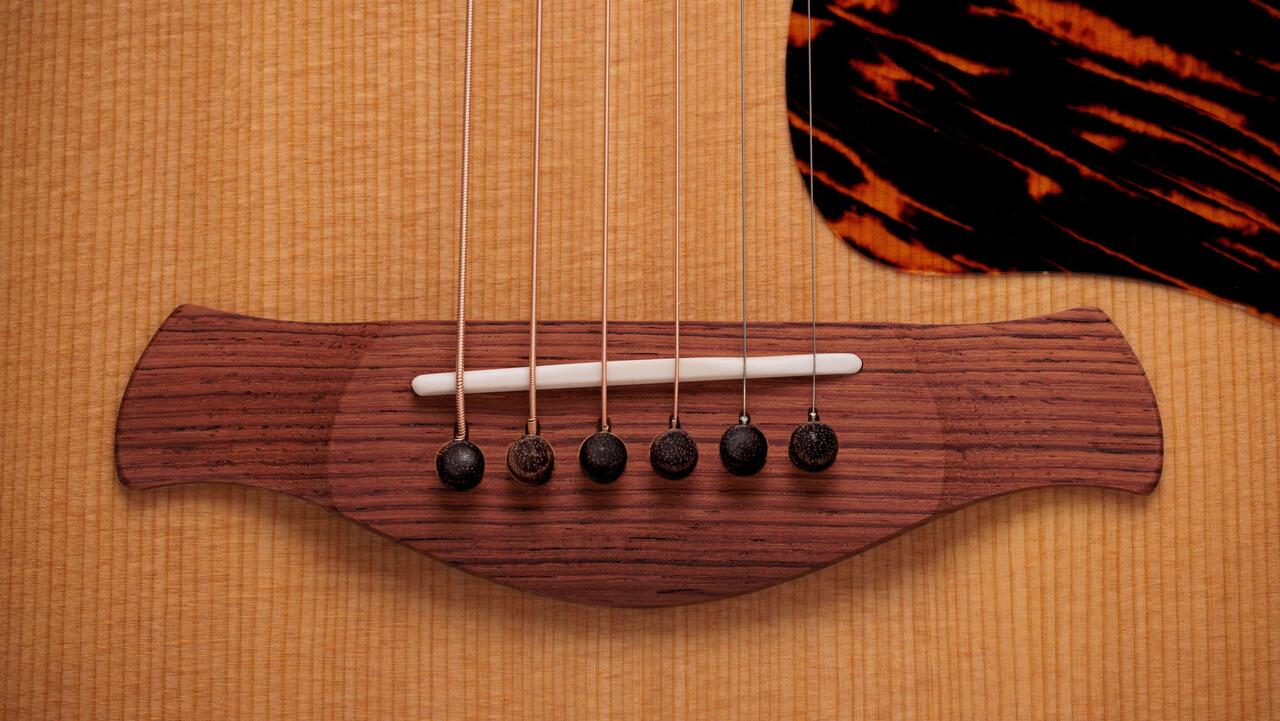 Taylor Gold Label 717e Electro-Acoustic in Natural - Taylor-Gold-Label-717e-1202125103-gallery-13-2025_compressed_compressed.jpg