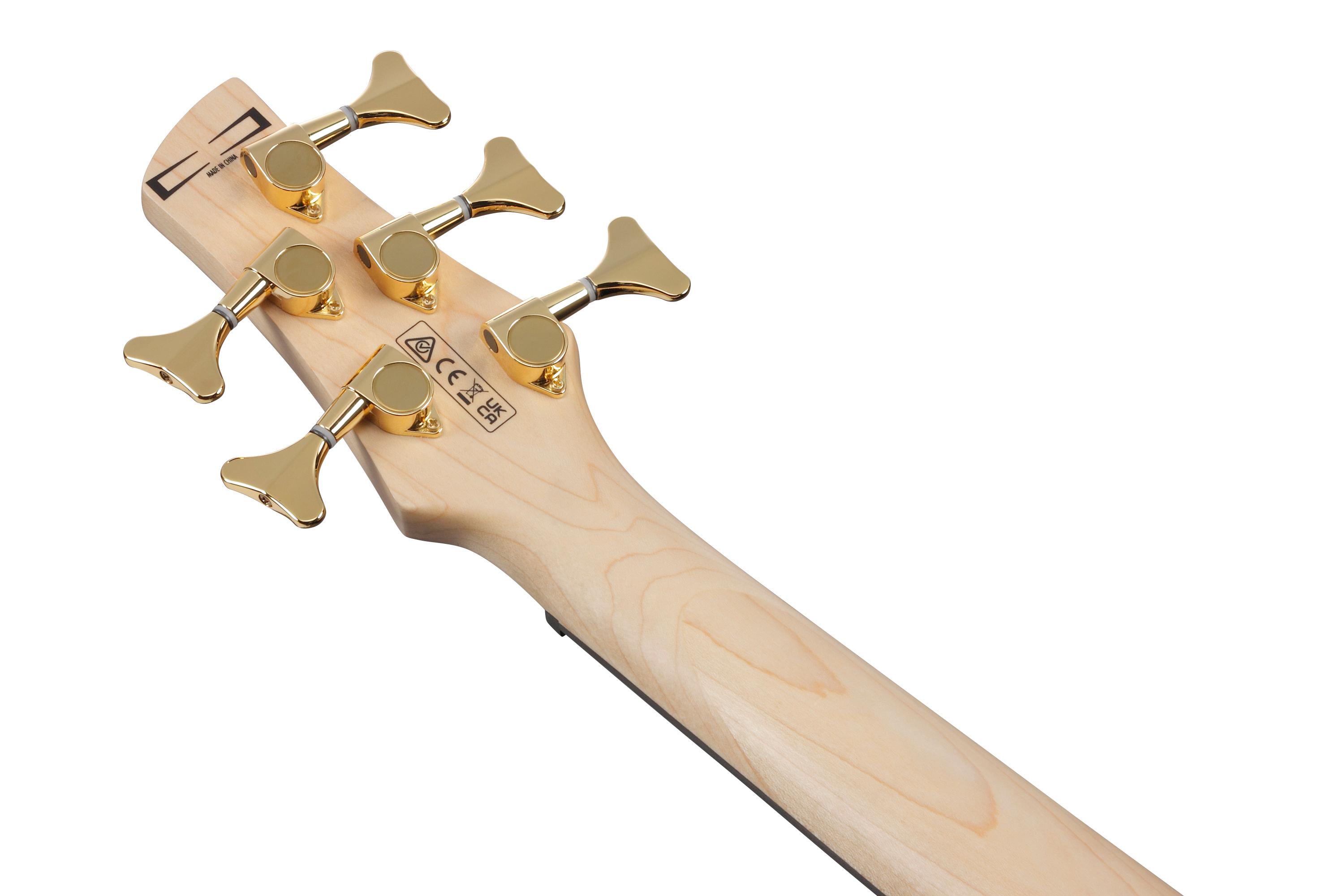 Ibanez GSR205PC-TMU GSR Series 5-String Bass Guitar in Transparent Marine Burst - GSR205PC_TMU_4H_01_K.jpg