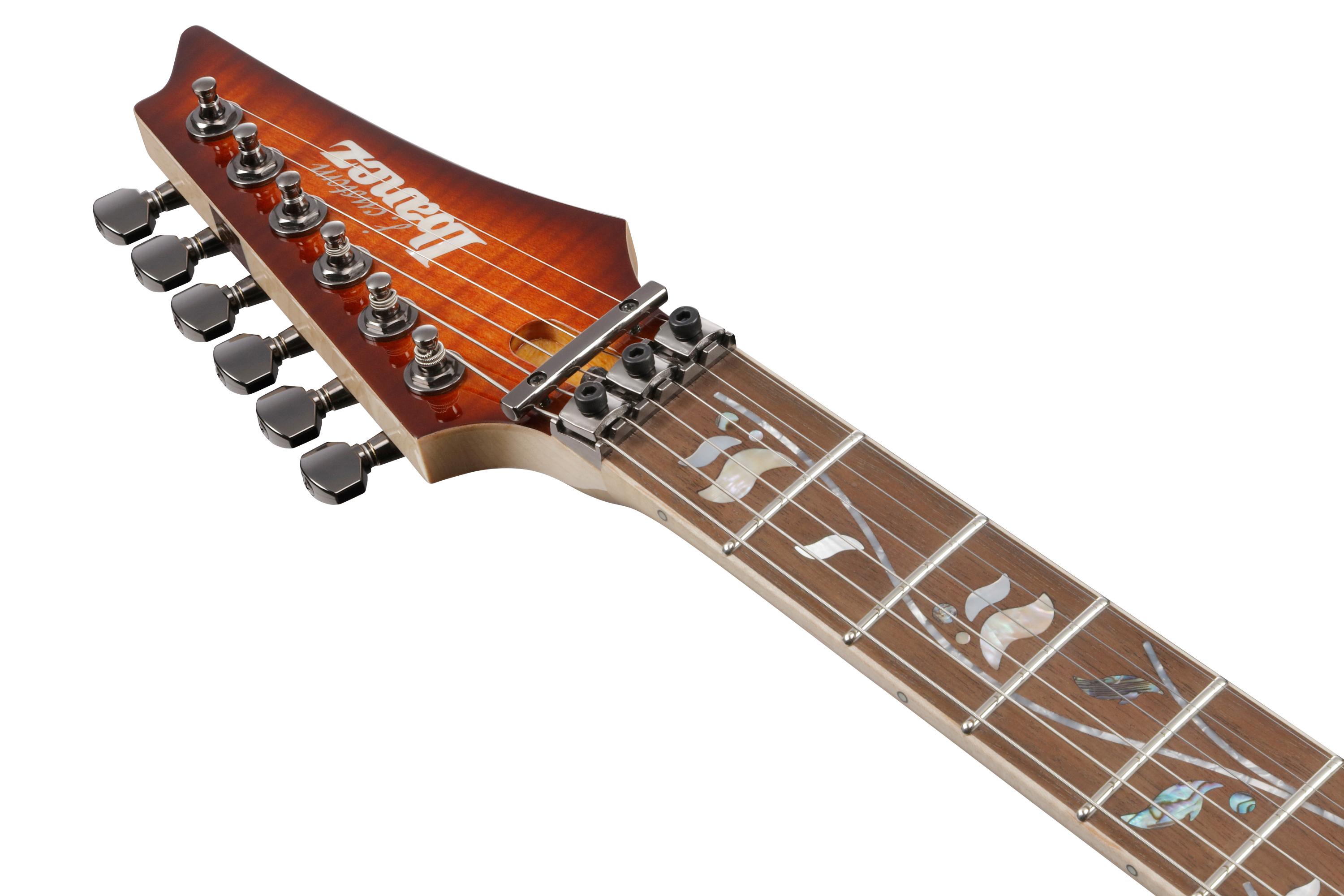 Ibanez RG8570-BSR RG J Custom HSH Electric Guitar in Brownish