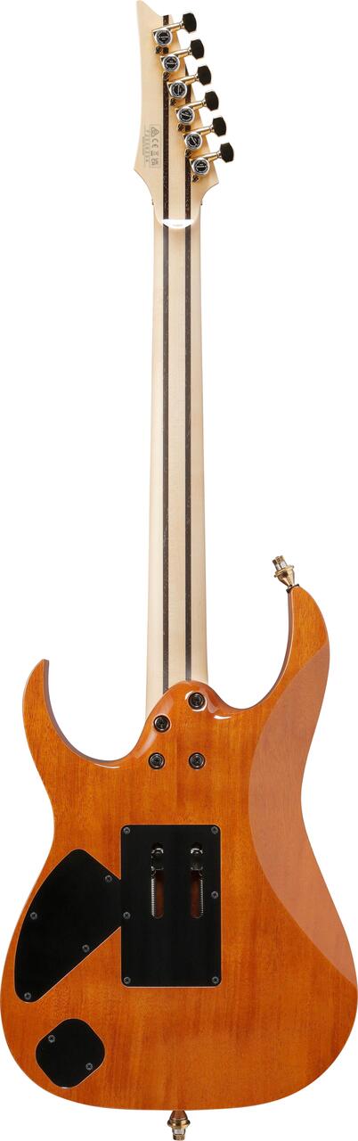 Ibanez RG8570EM-NT RG J Custom Exotic Maple Top Electric Guitar in Natural - RG8570EM_NT_00_01_C.jpg