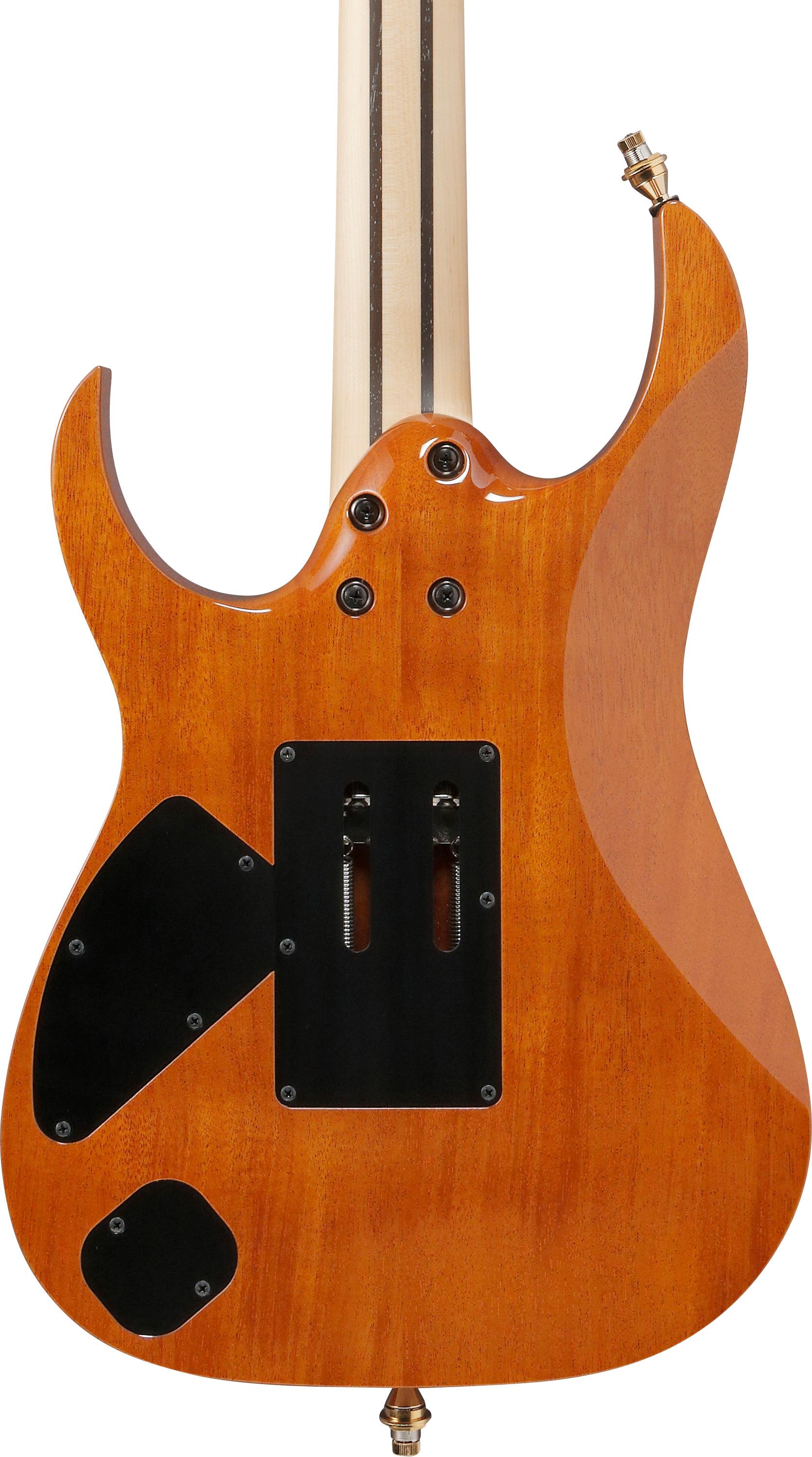 Ibanez RG8570EM-NT RG J Custom Exotic Maple Top Electric Guitar in Natural - RG8570EM_NT_00_01_G.jpg