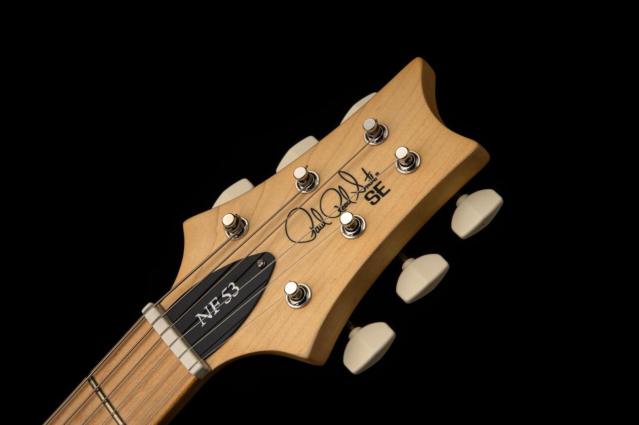 PRS SE NF 53 Electric Guitar in White Doghair, Maple Fingerboard - SE NF53 White Dog Hair_f.jpg