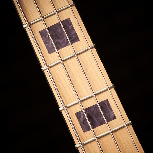 Spector Icon NC-4 Frank Bello Bass Guitar in Tina Rose - NC-4-Frank-Bello-Inlays.jpg